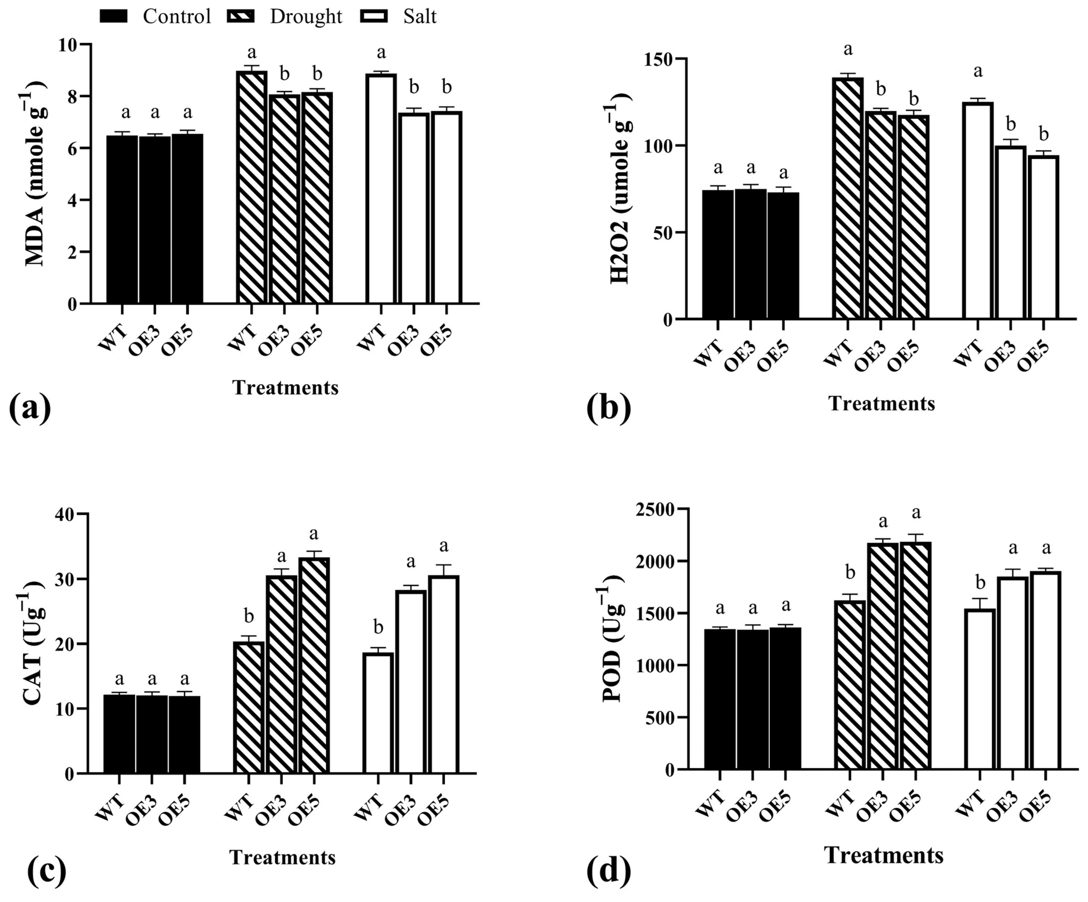 Plants 13 02684 g007