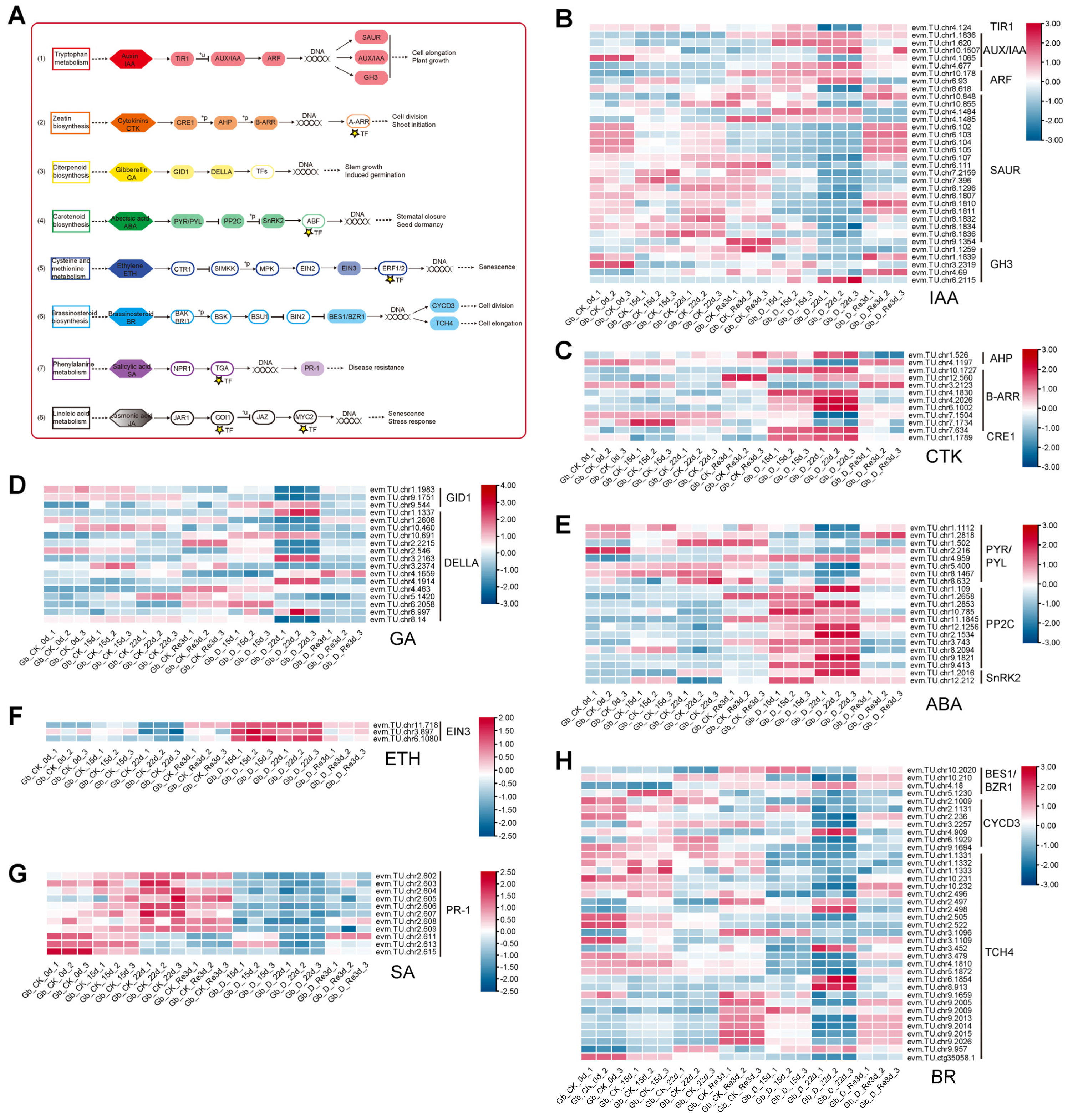 Plants 13 02685 g004