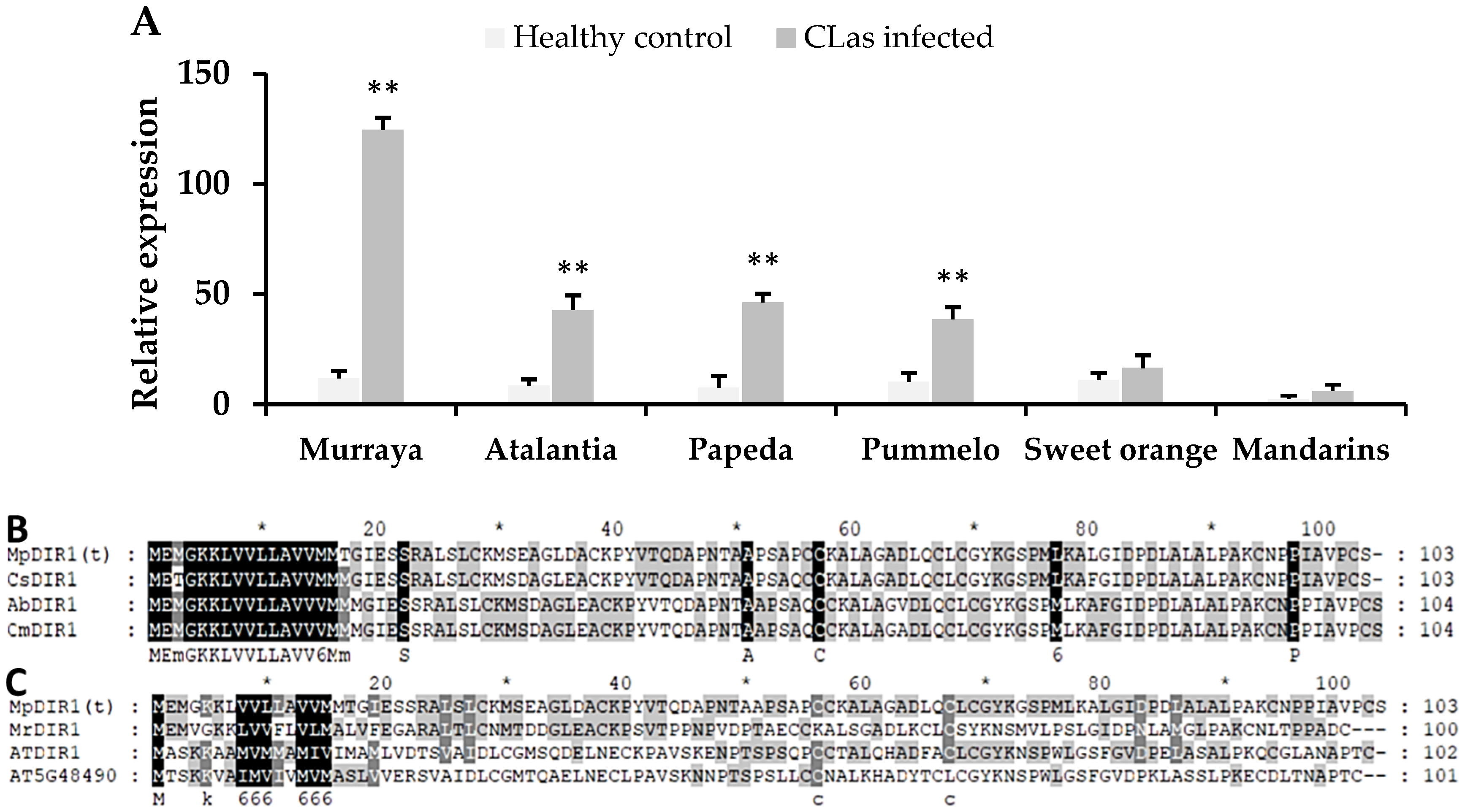 Plants 13 02692 g001 Plants 13 02692 g001