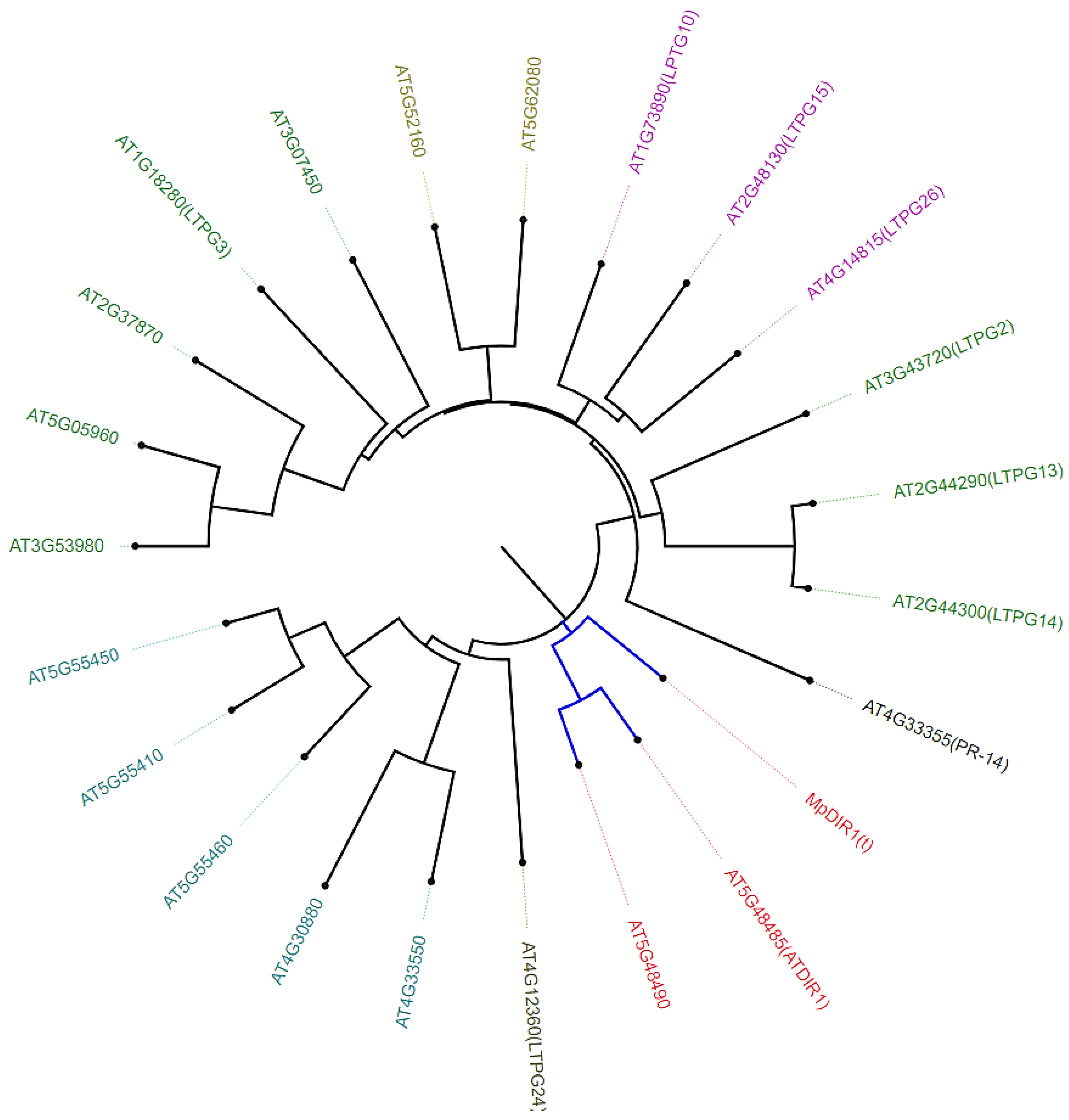 Plants 13 02692 g002 Plants 13 02692 g002