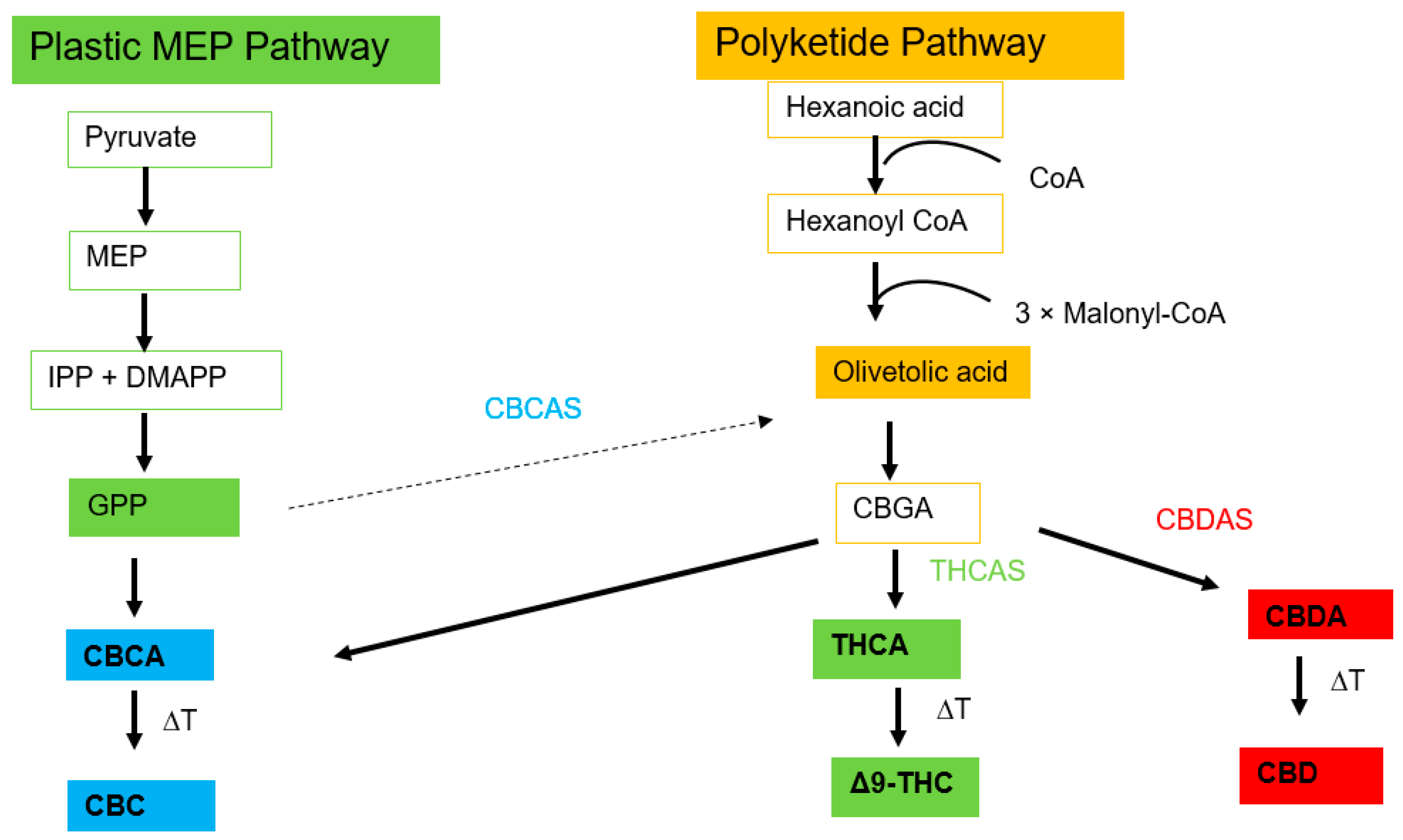 Plants 13 02695 g005