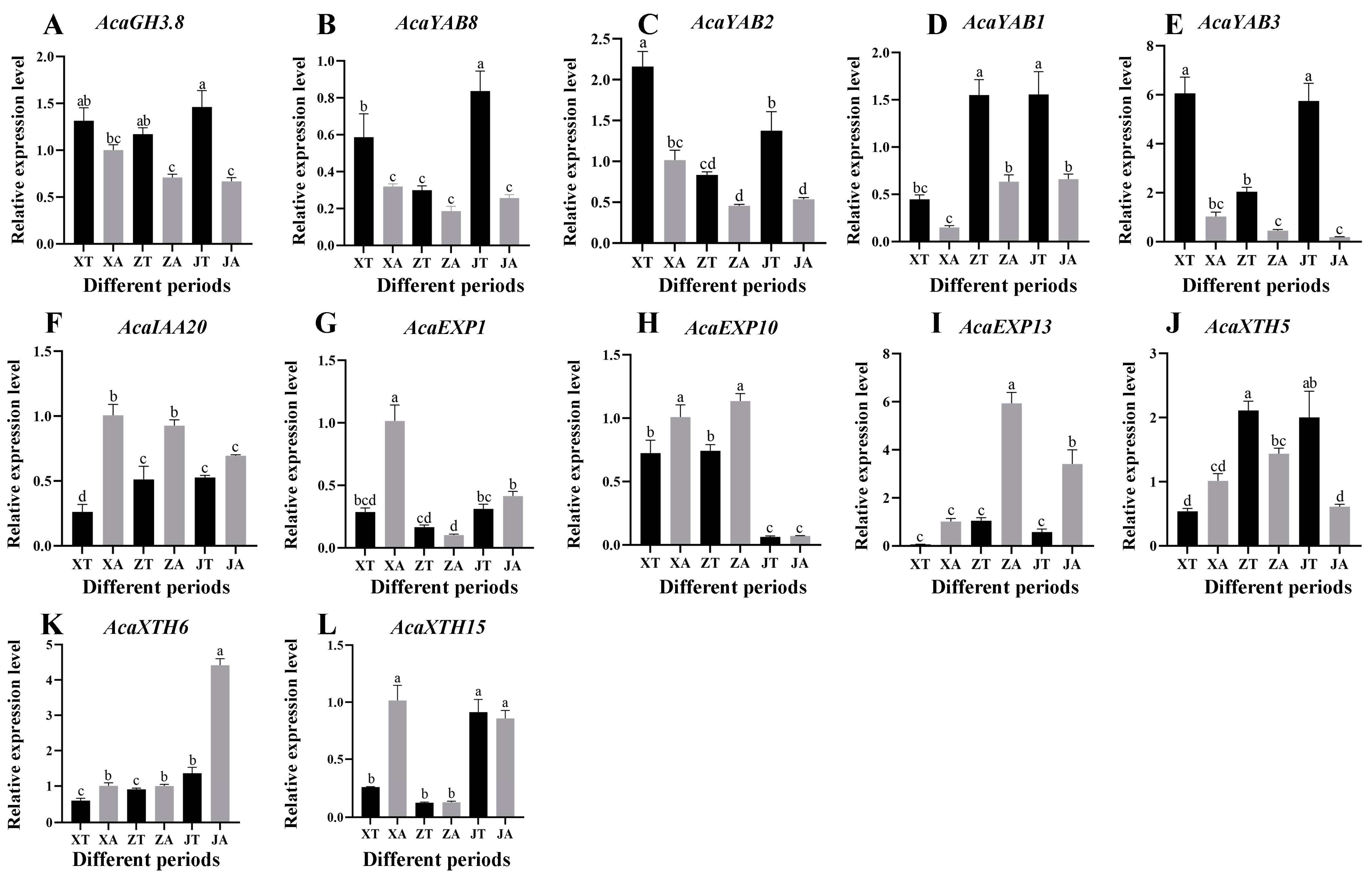 Plants 13 02696 g008