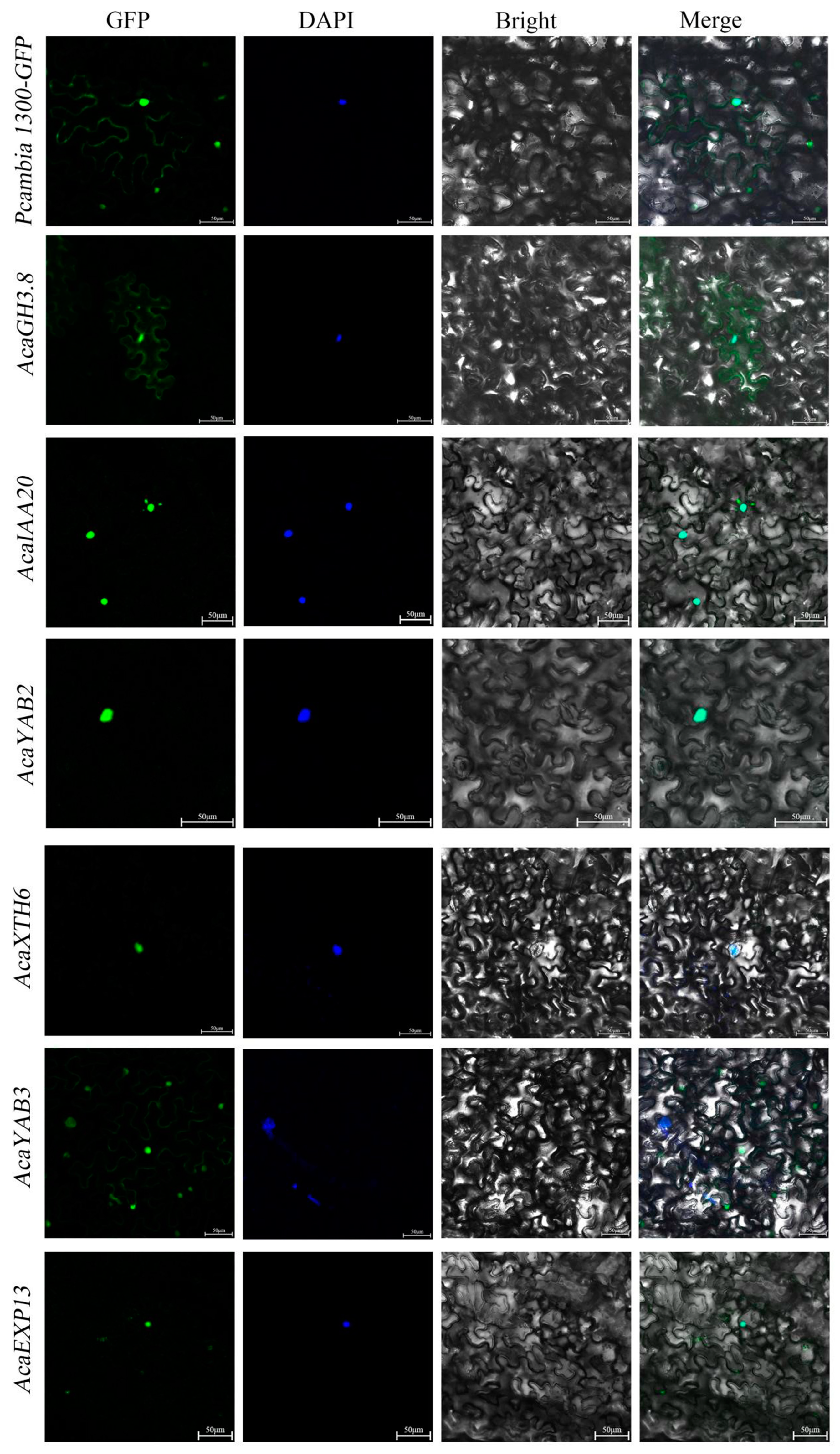 Plants 13 02696 g010