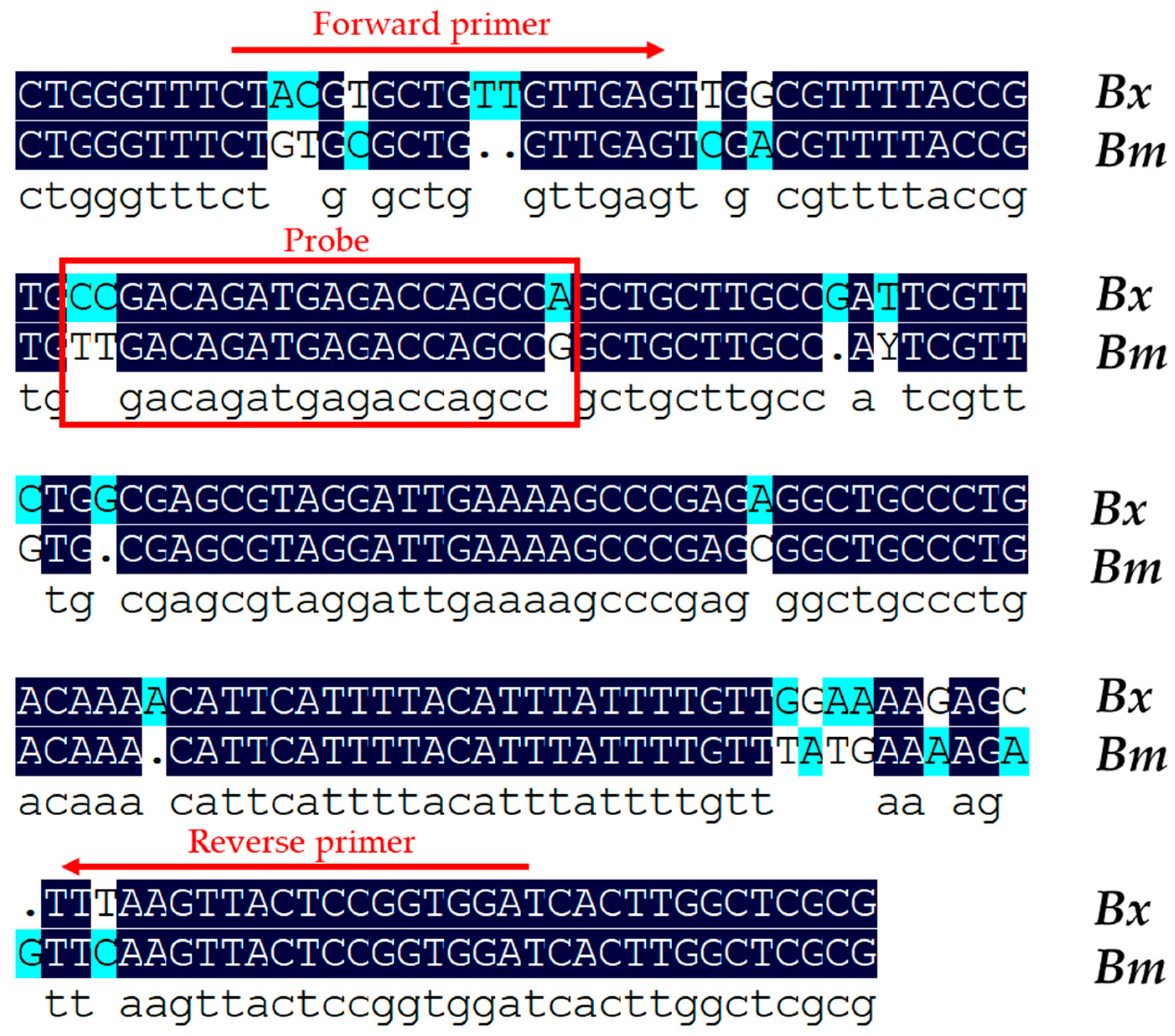 Plants 13 02701 g001 Plants 13 02701 g001