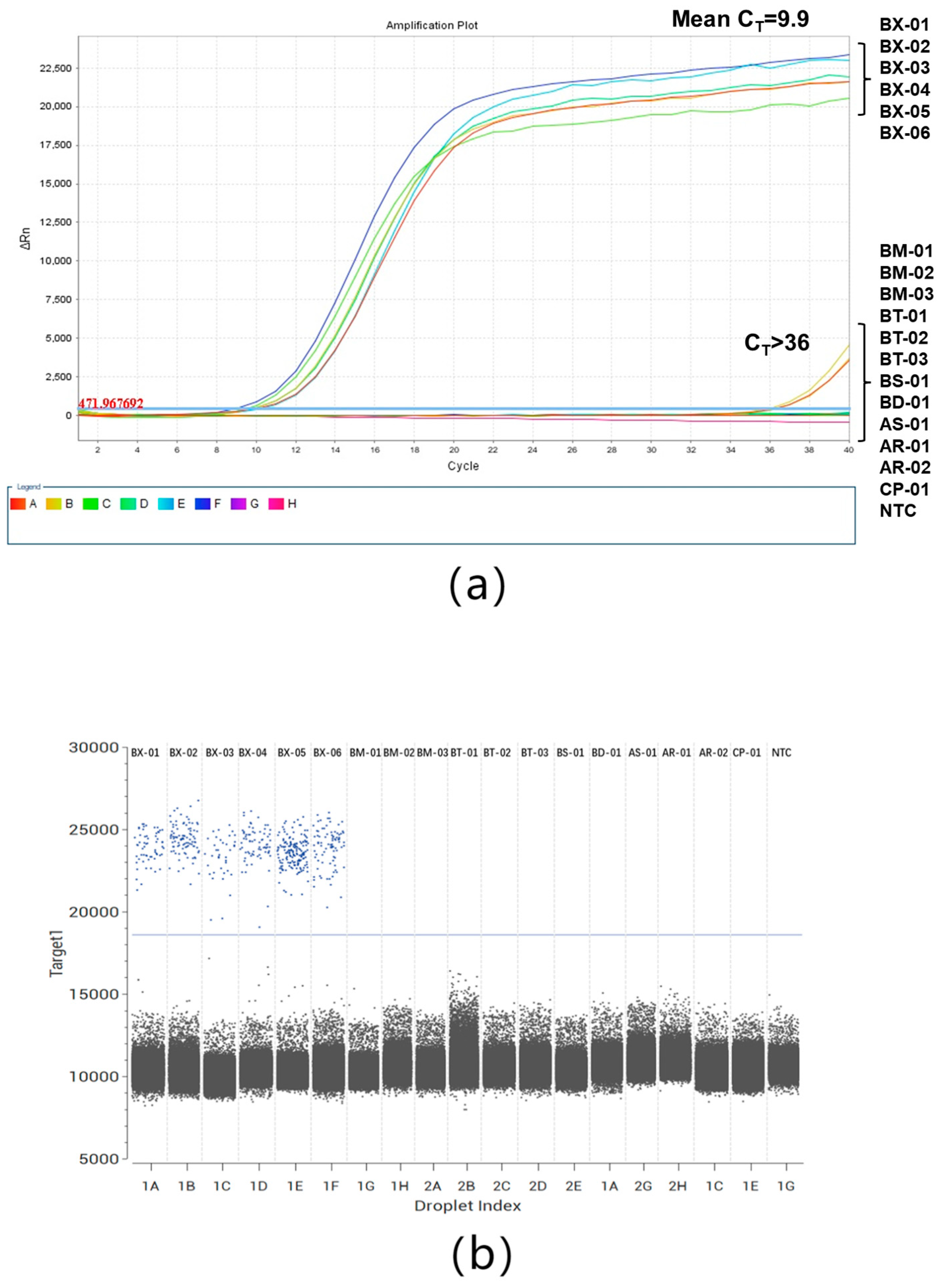 Plants 13 02701 g003 Plants 13 02701 g003