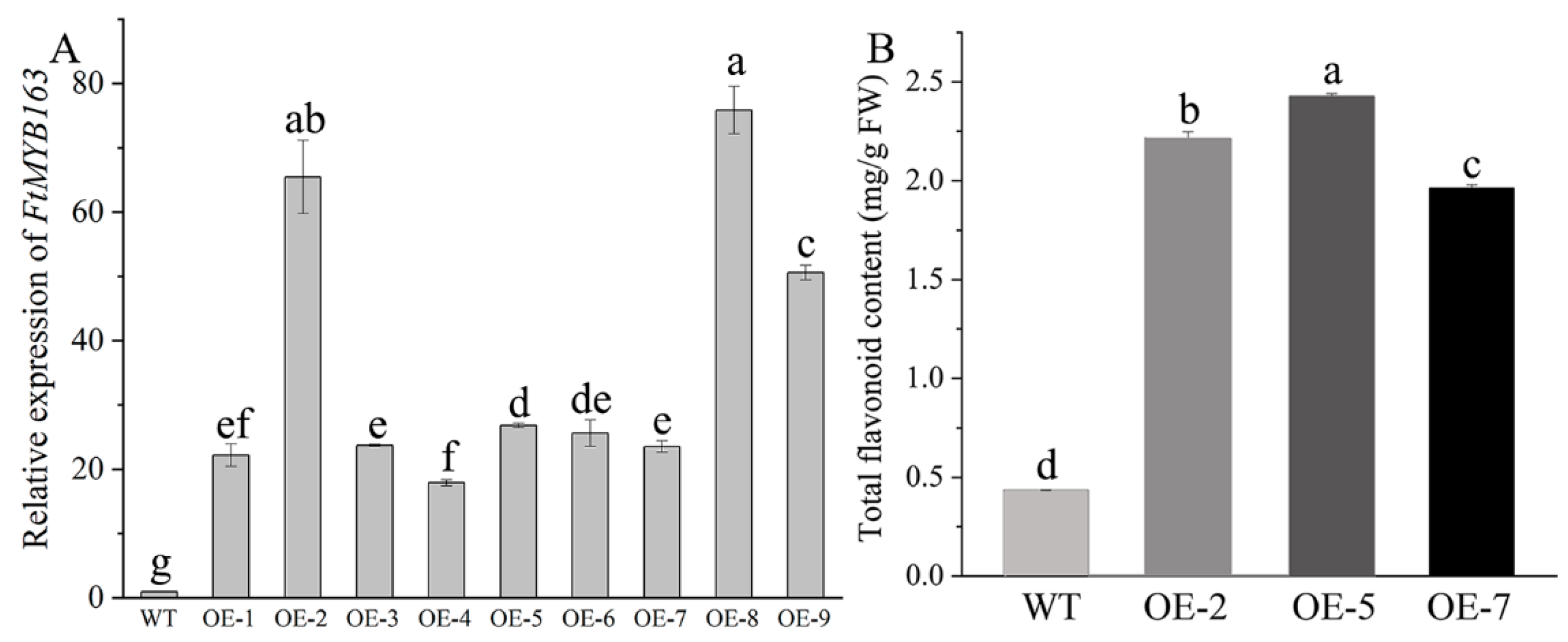Plants 13 02704 g005
