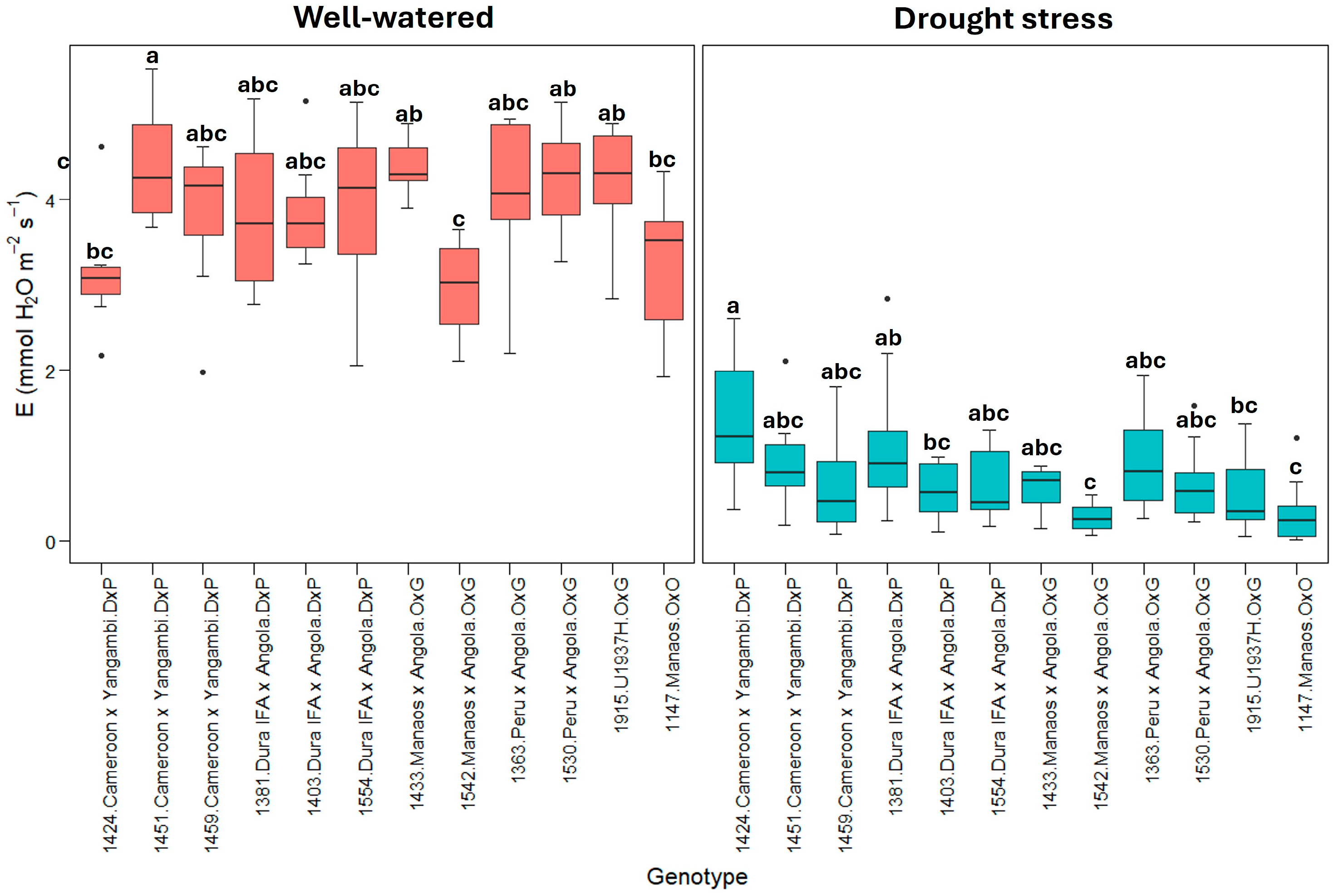 Plants 13 02705 g002