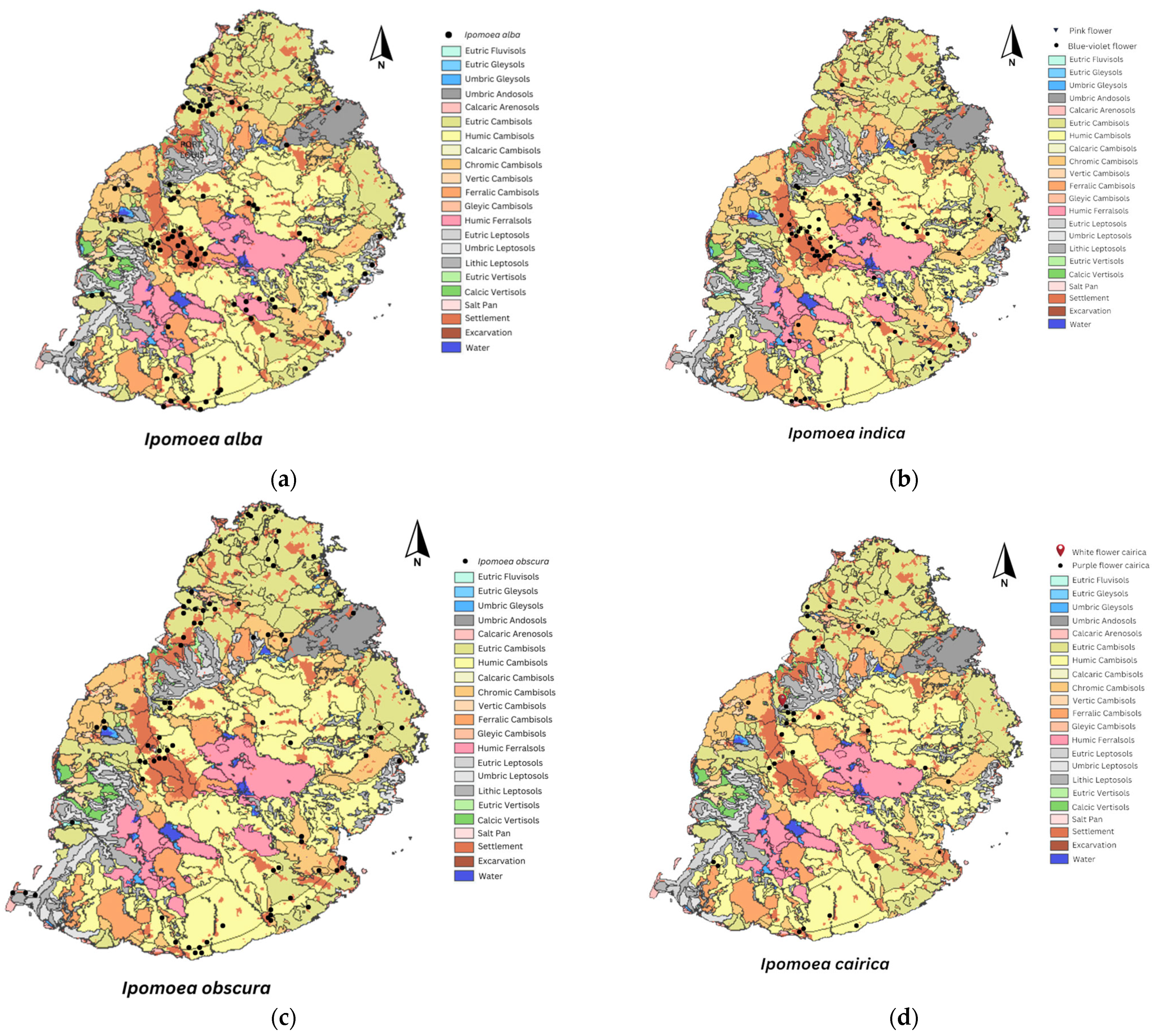 Plants 13 02706 g002a