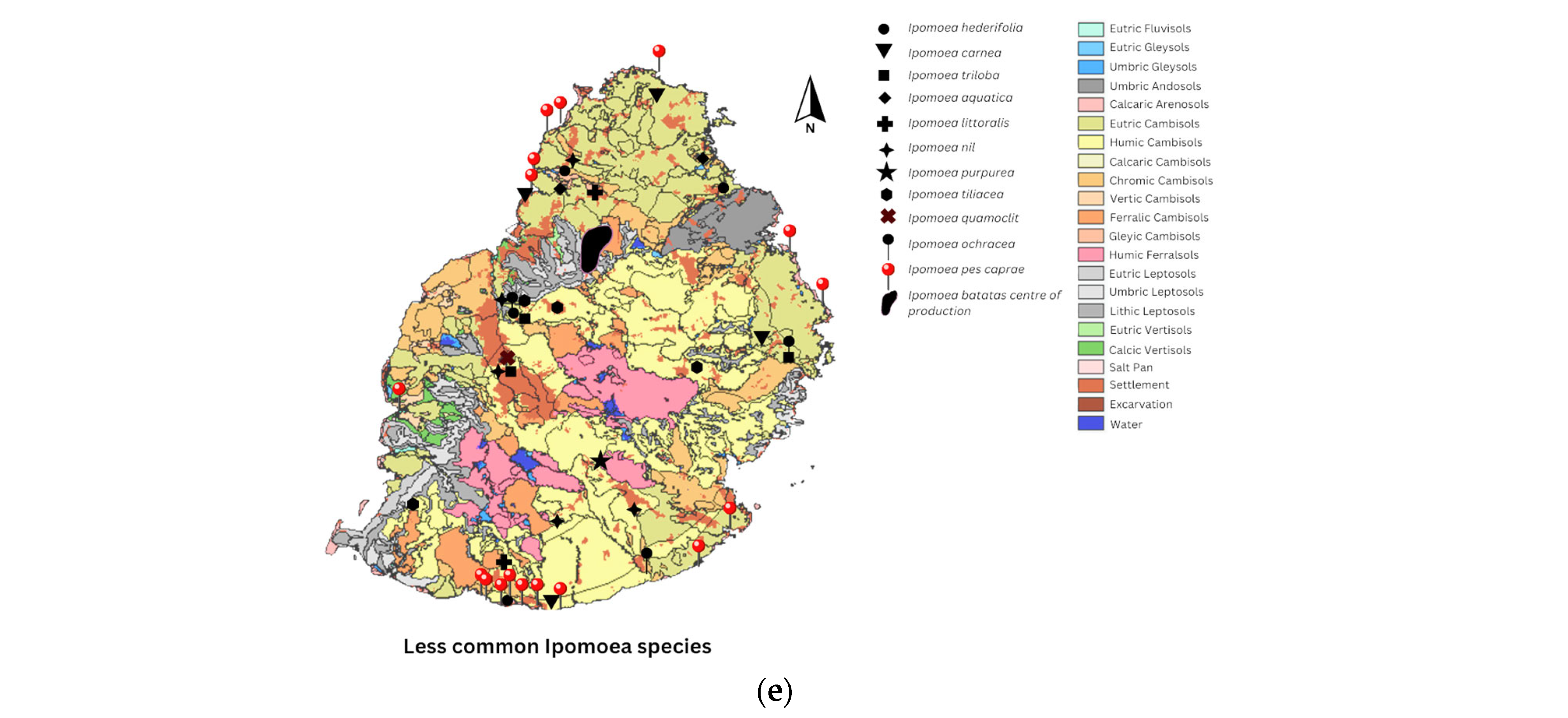 Plants 13 02706 g002b