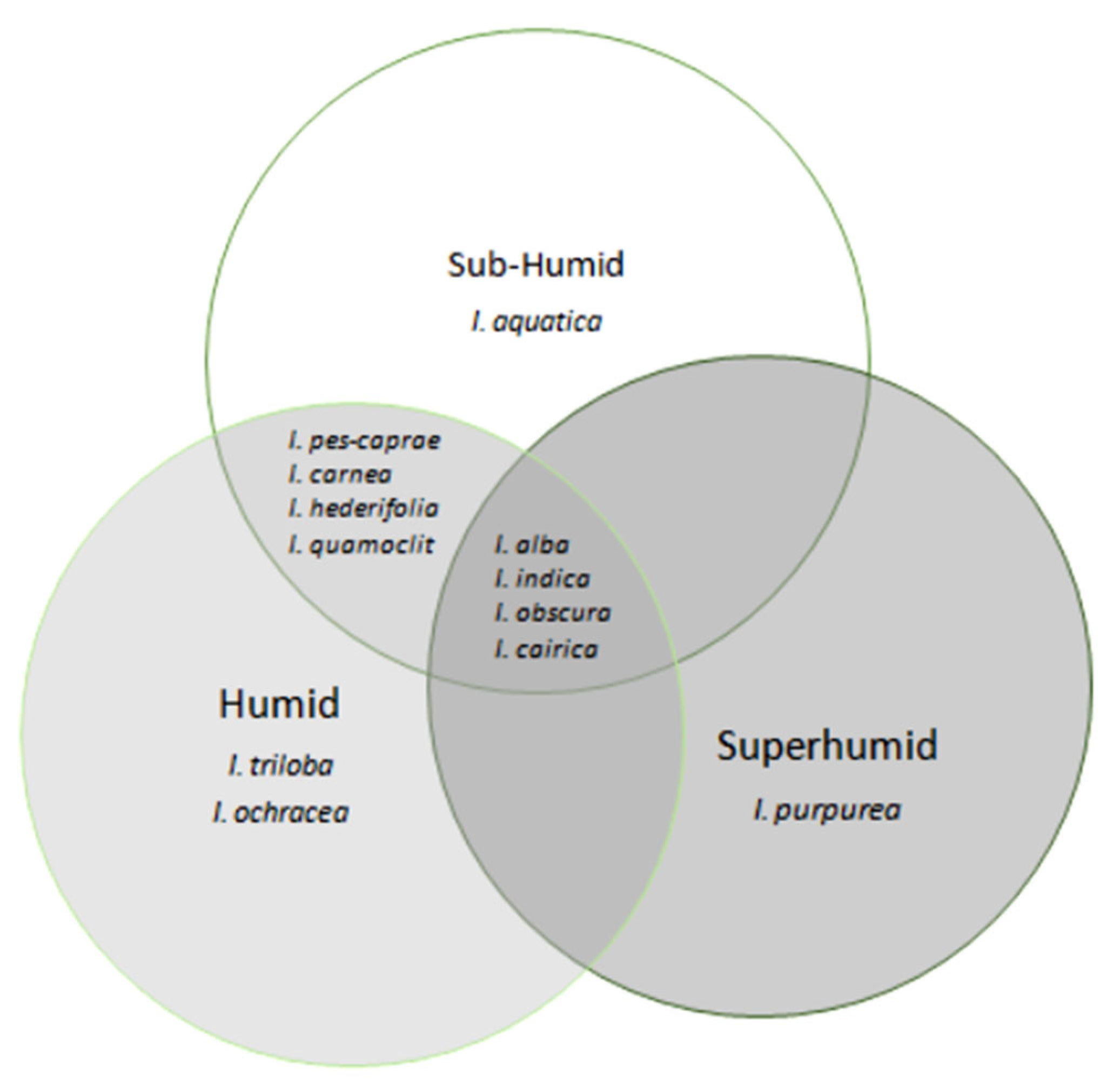 Plants 13 02706 g004