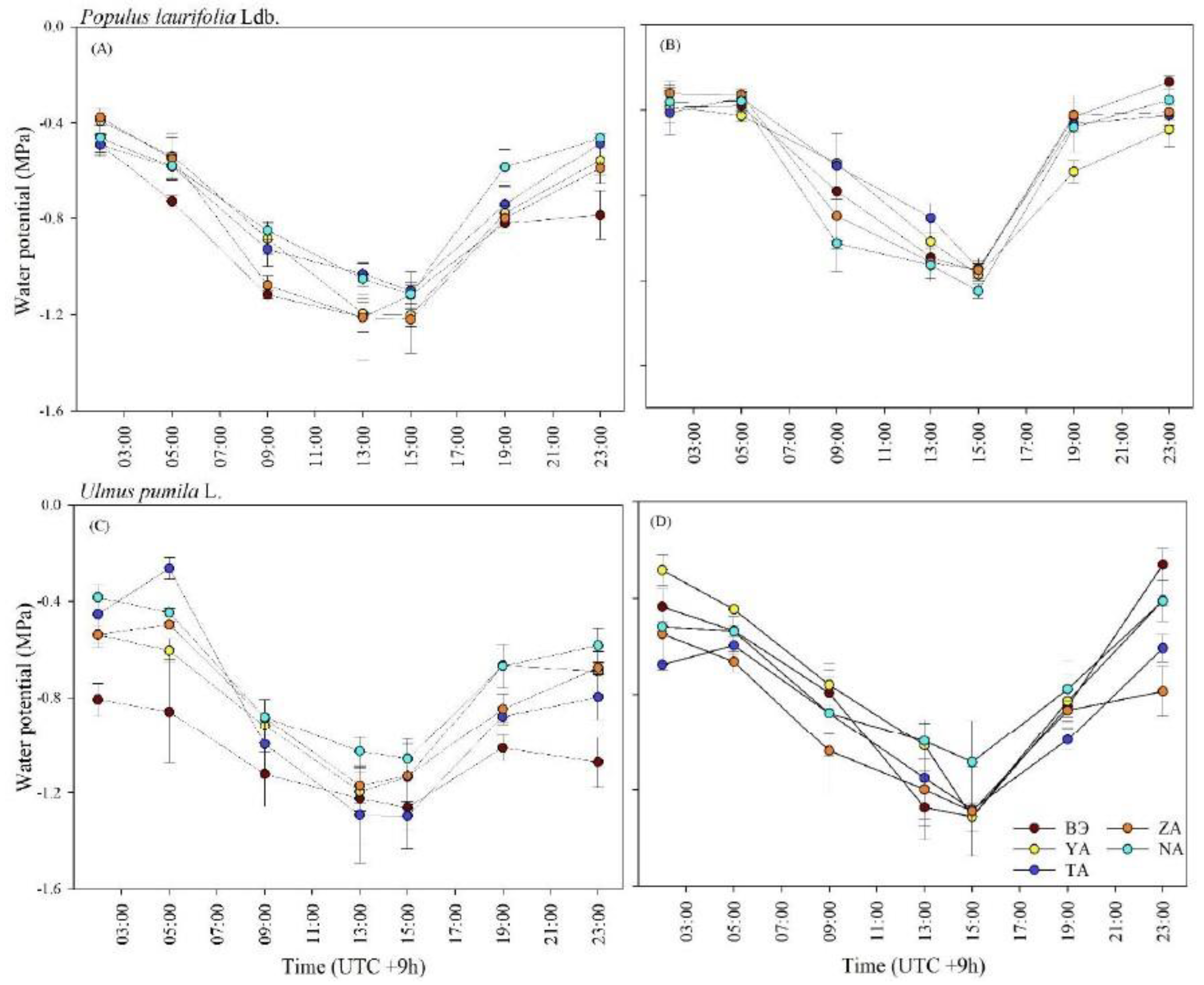 Plants 13 02709 g004 Plants 13 02709 g004