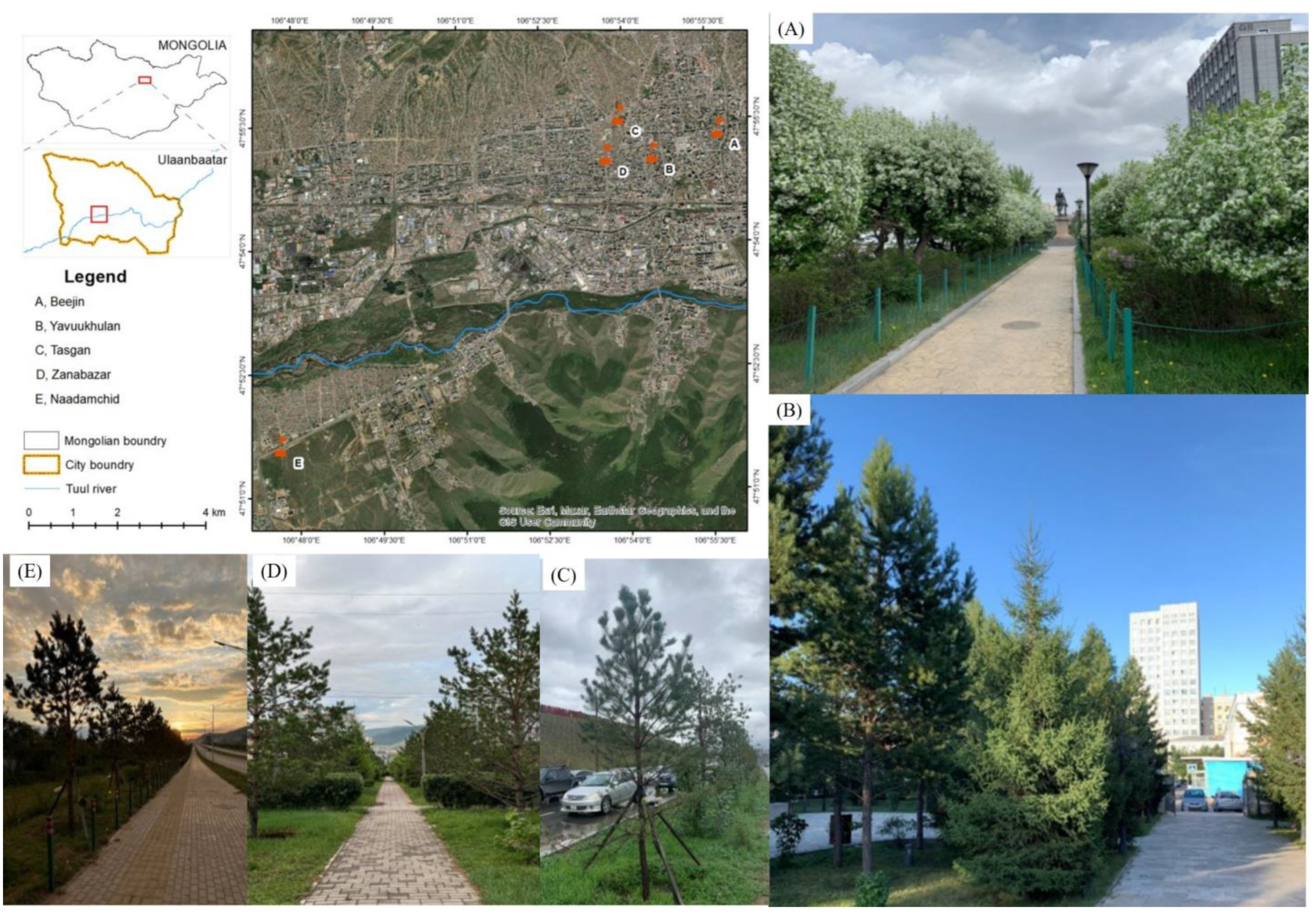 Plants 13 02709 g005 Plants 13 02709 g005