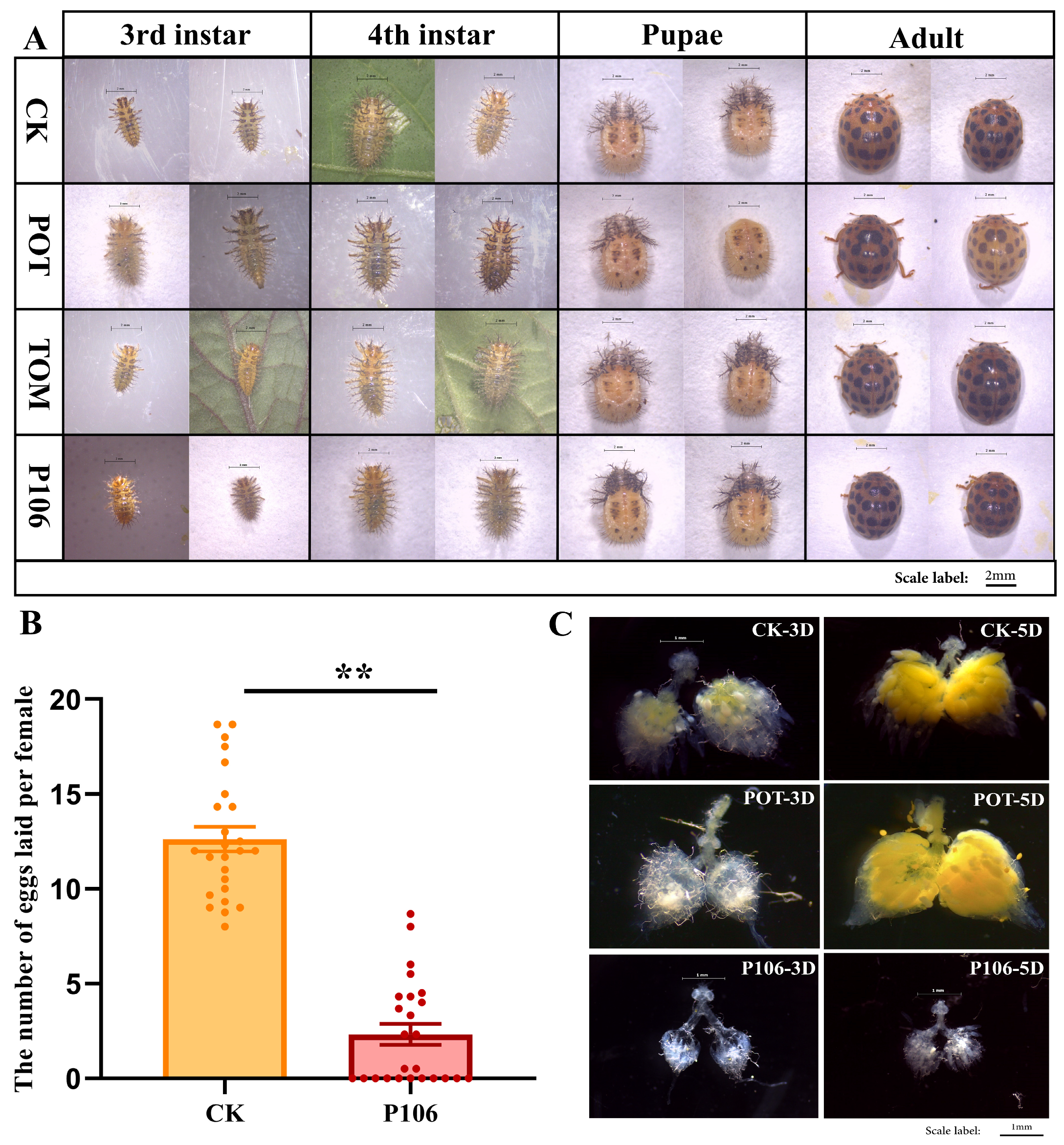 Plants 13 02711 g001 Plants 13 02711 g001