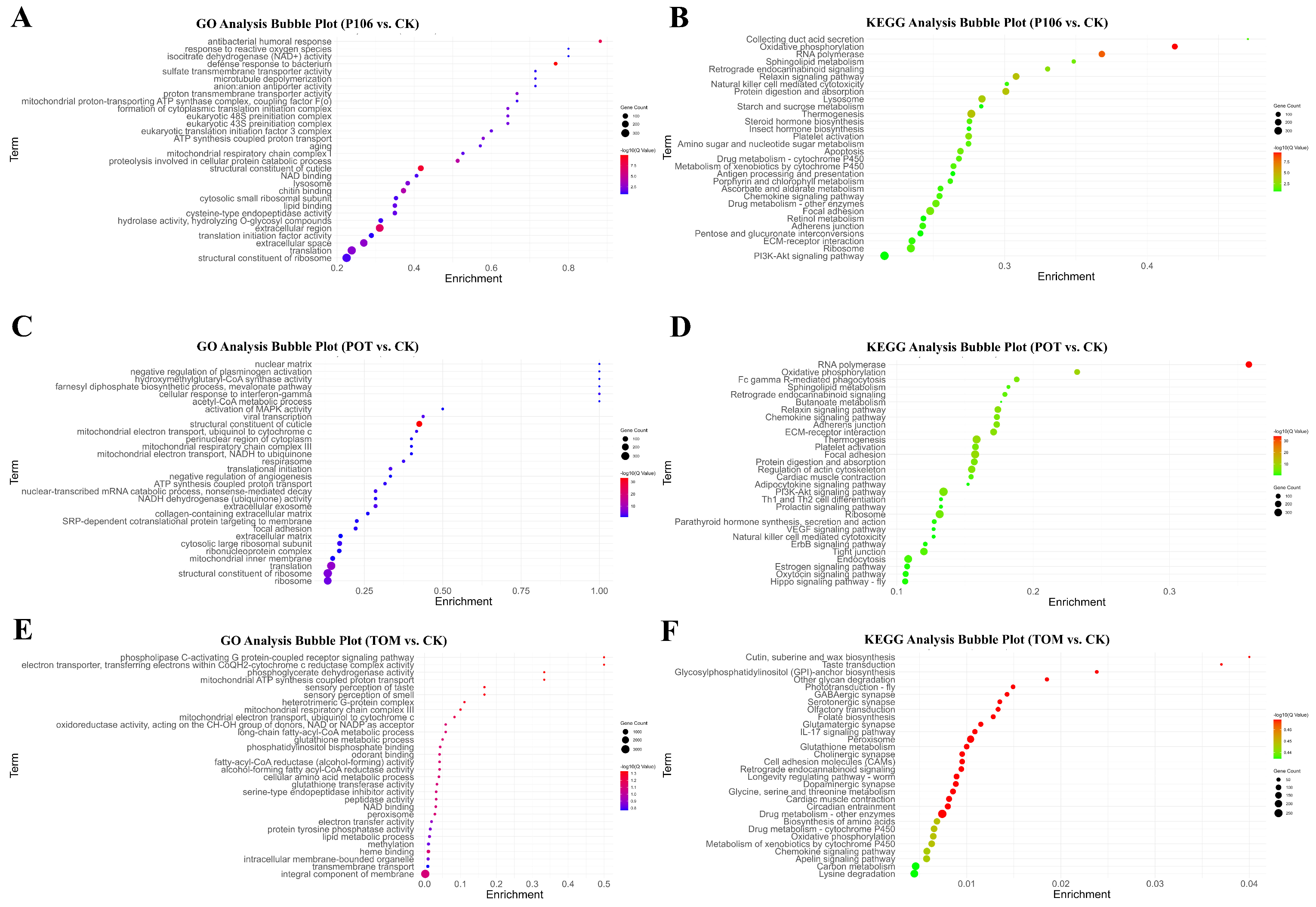 Plants 13 02711 g005 Plants 13 02711 g005