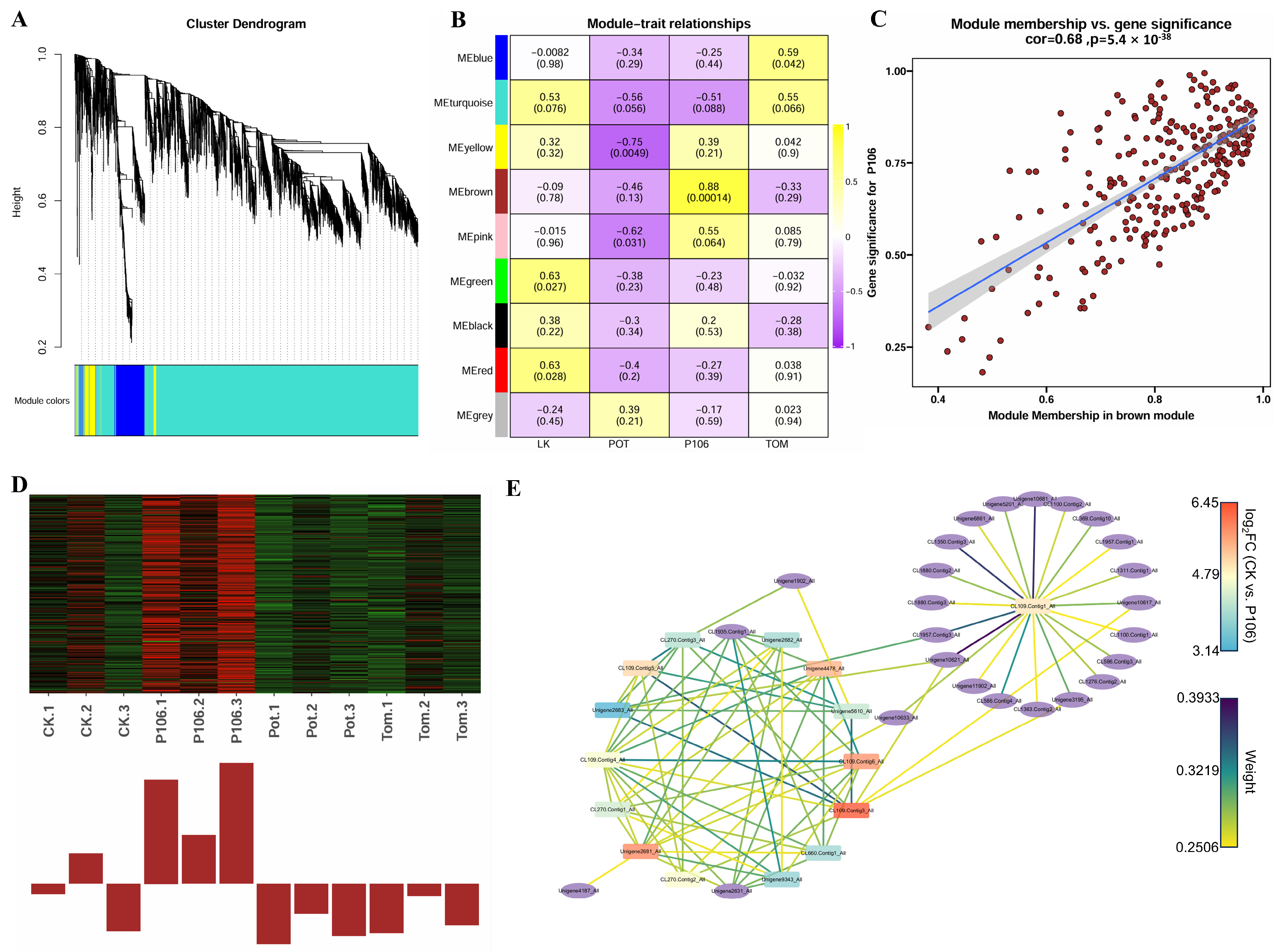 Plants 13 02711 g006 Plants 13 02711 g006