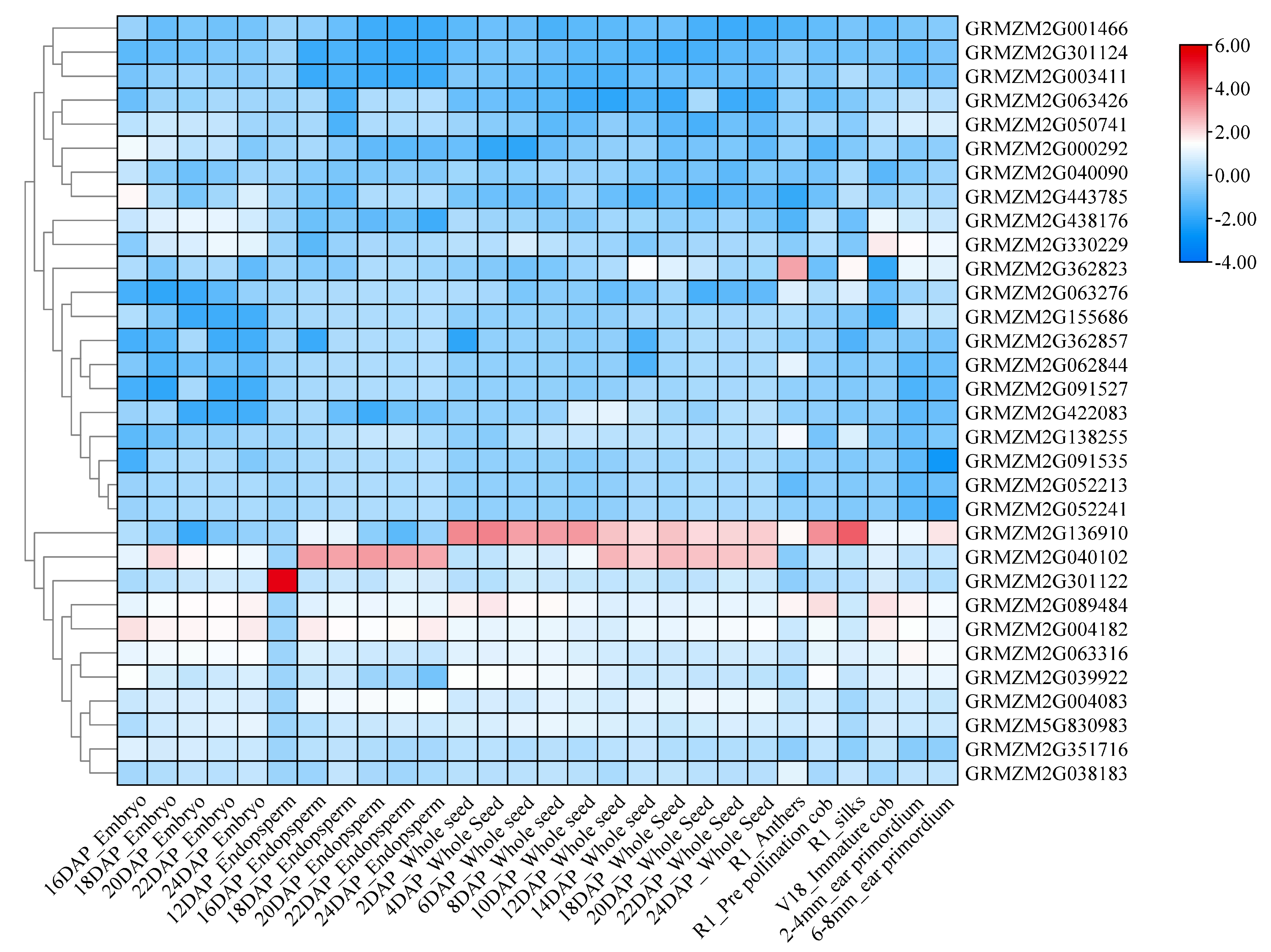 Plants 13 02730 g002