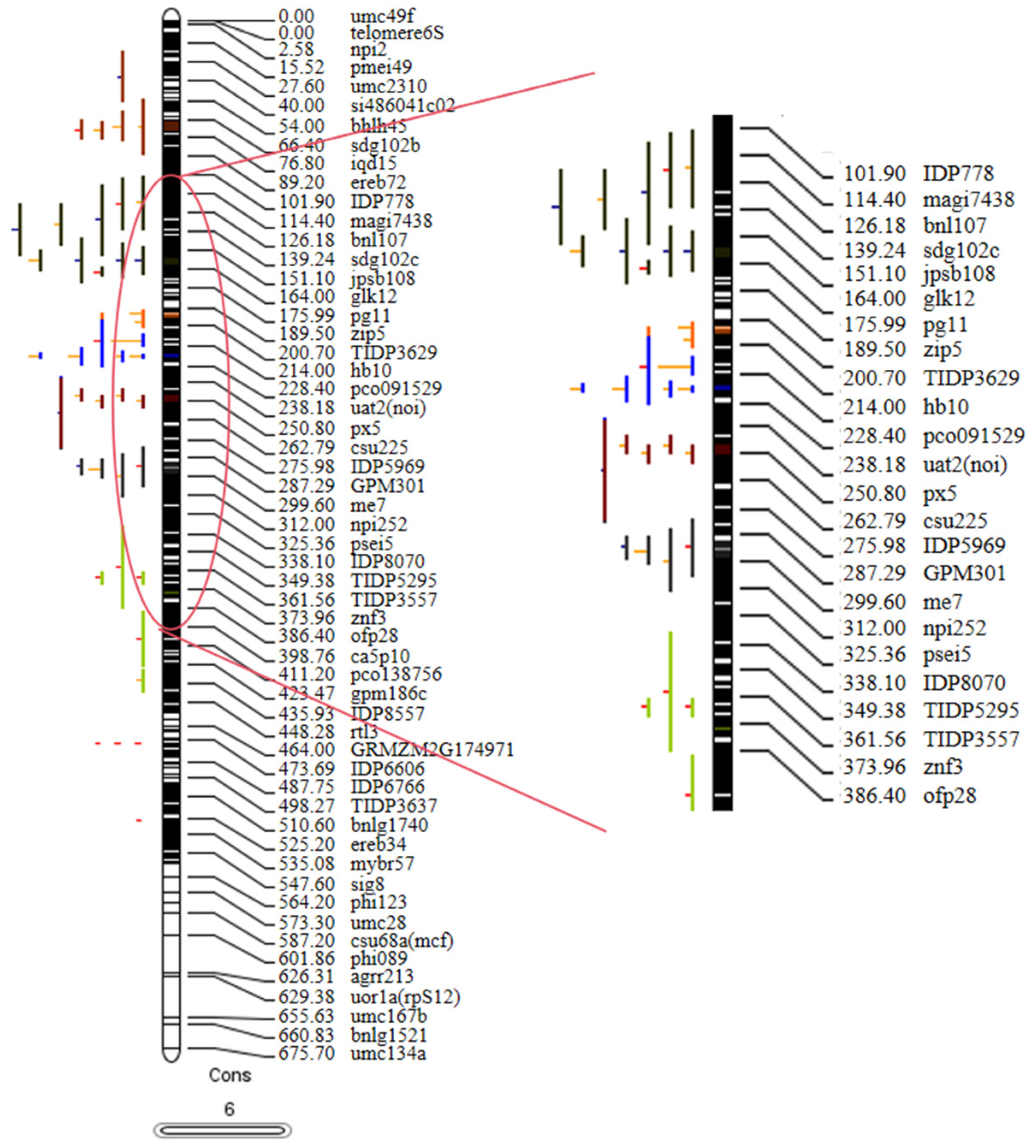 Plants 13 02730 g003
