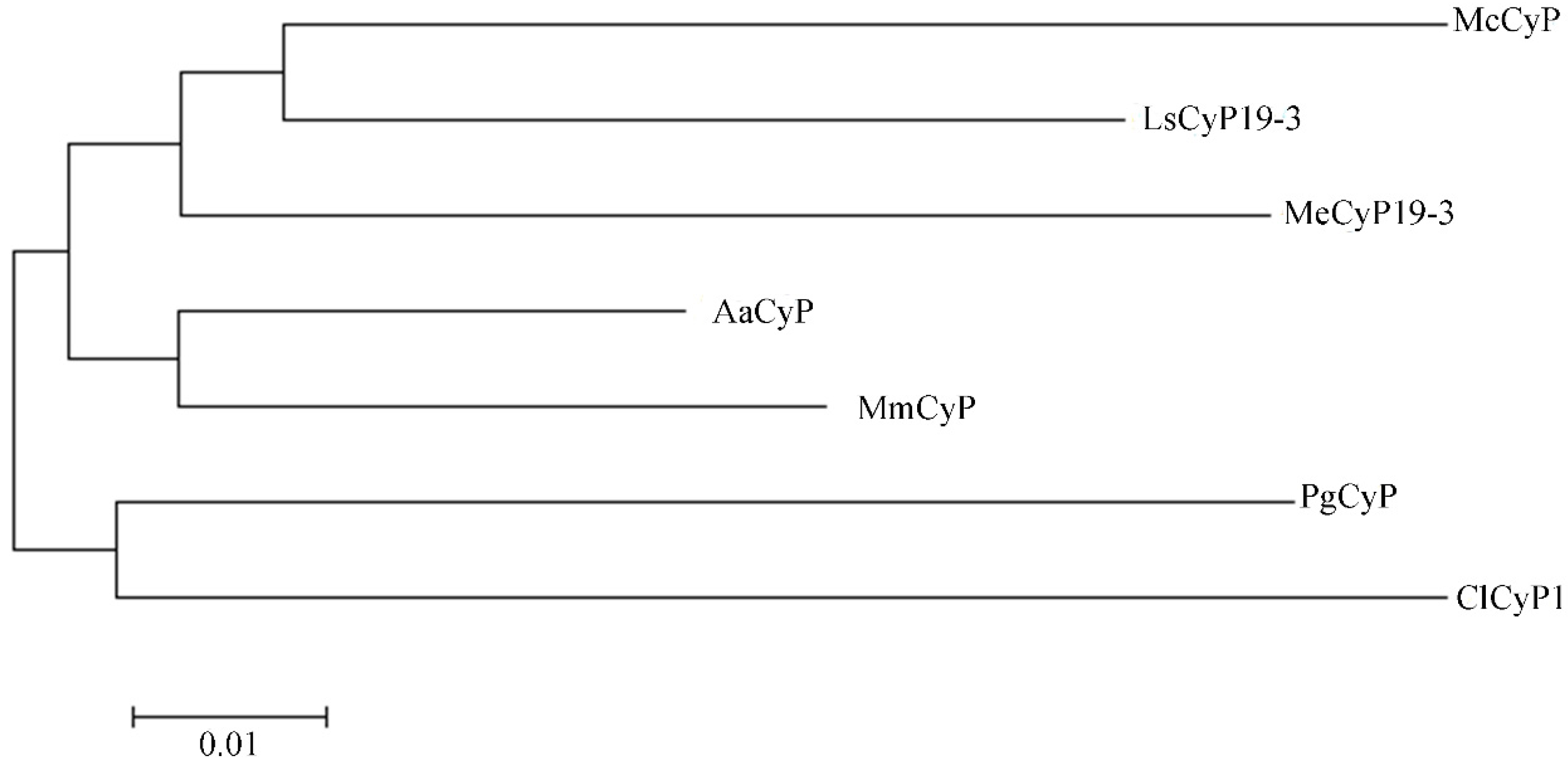 Plants 13 02731 g008