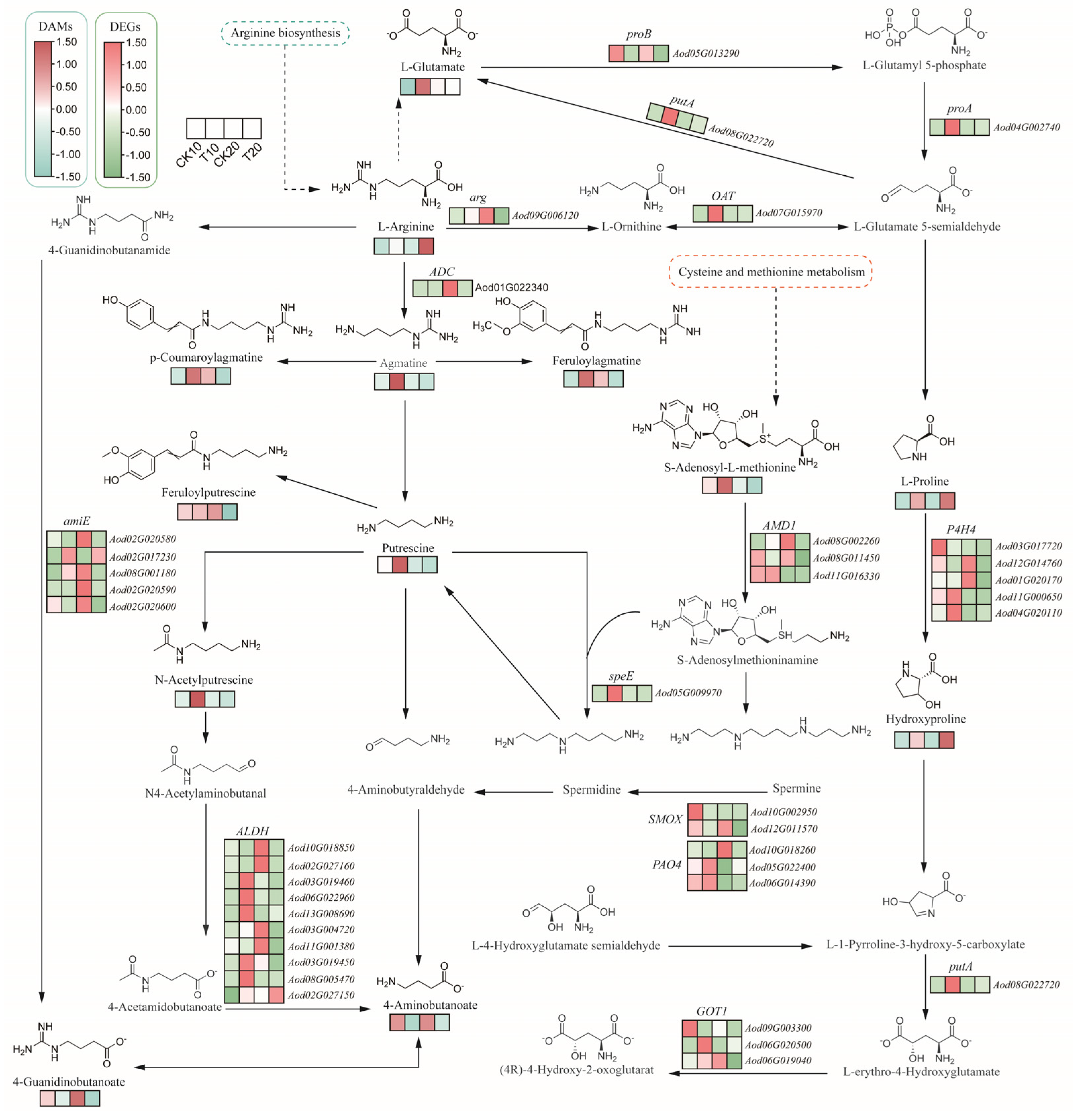 Plants 13 02732 g004