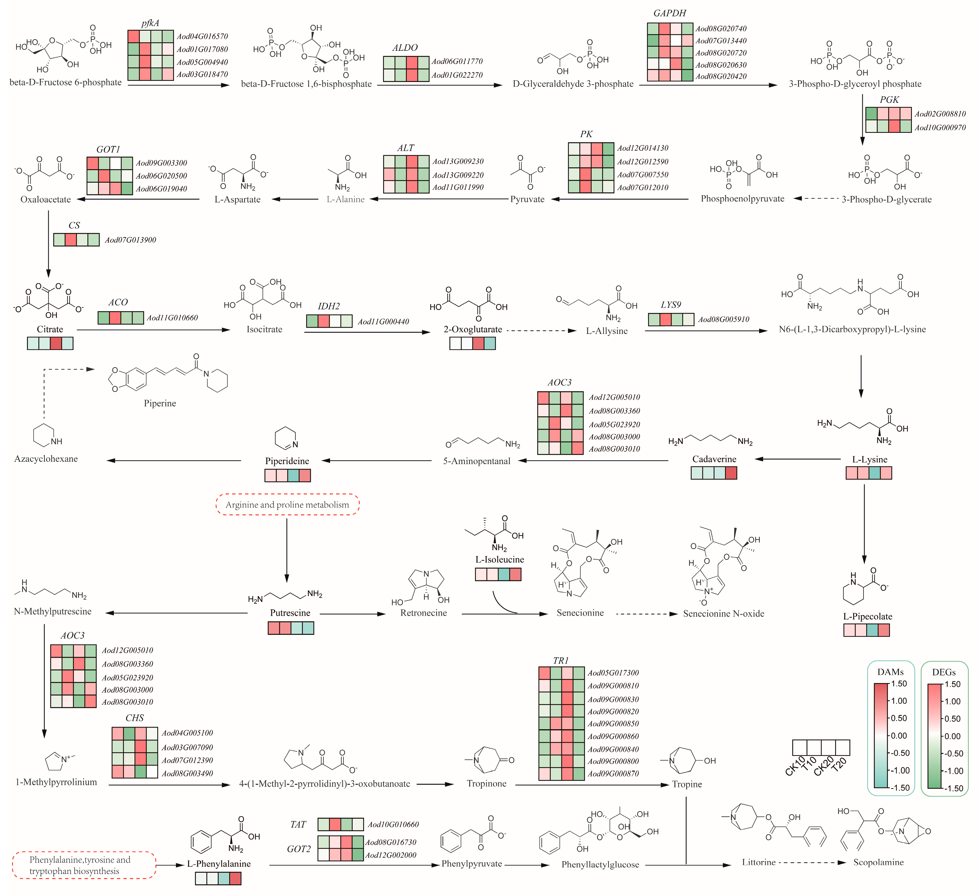 Plants 13 02732 g005