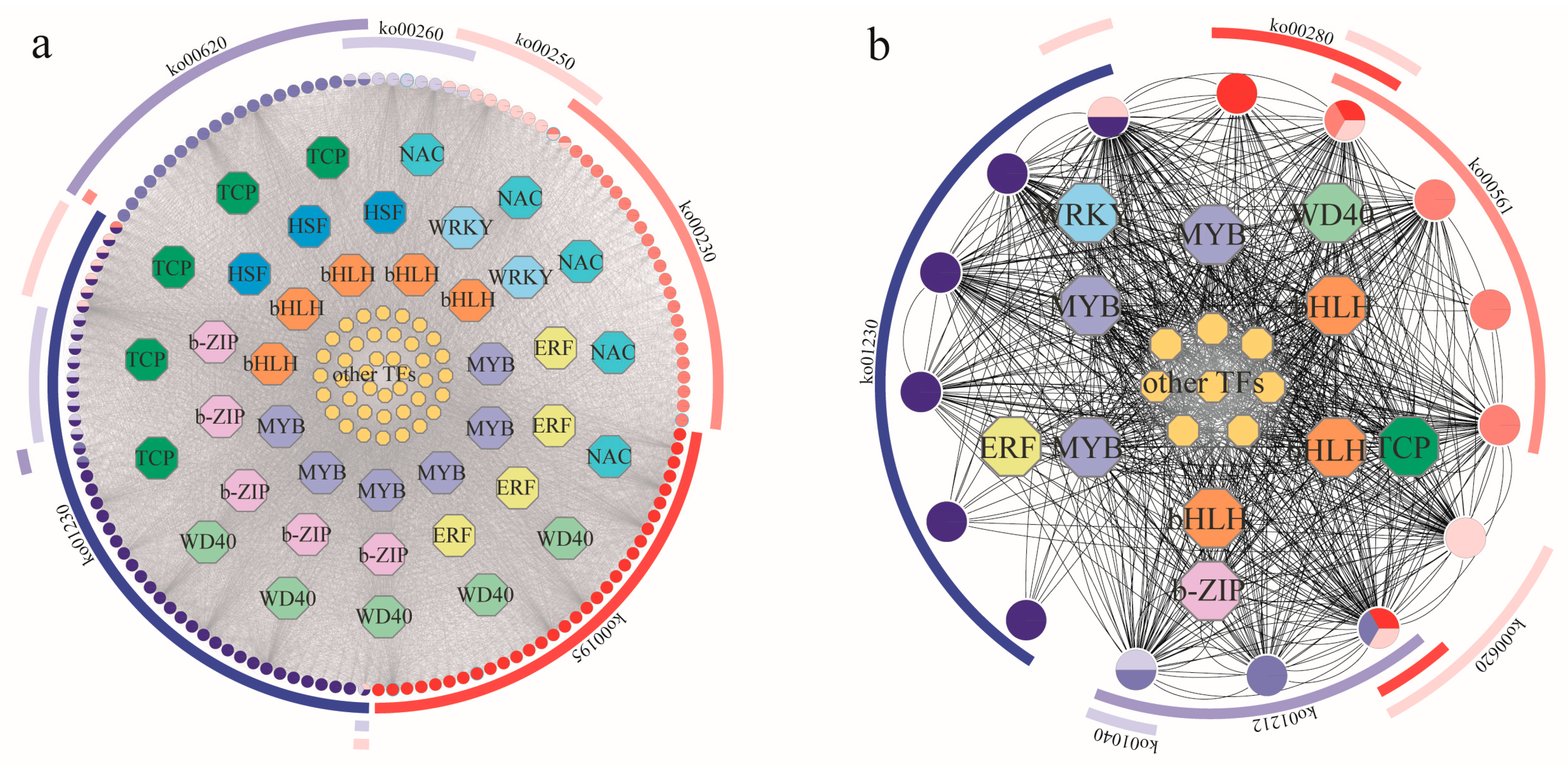 Plants 13 02732 g006