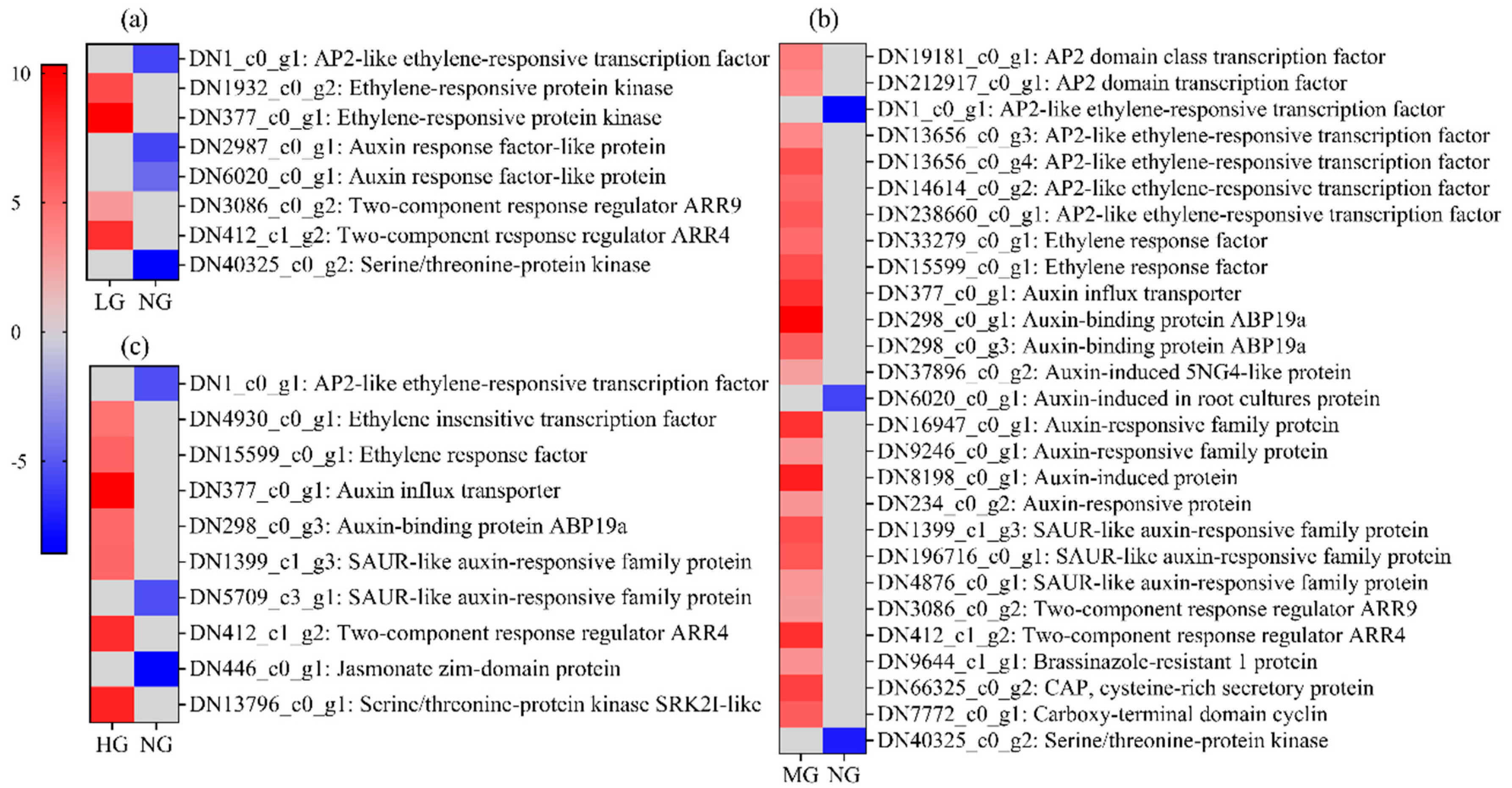 Plants 13 02738 g004