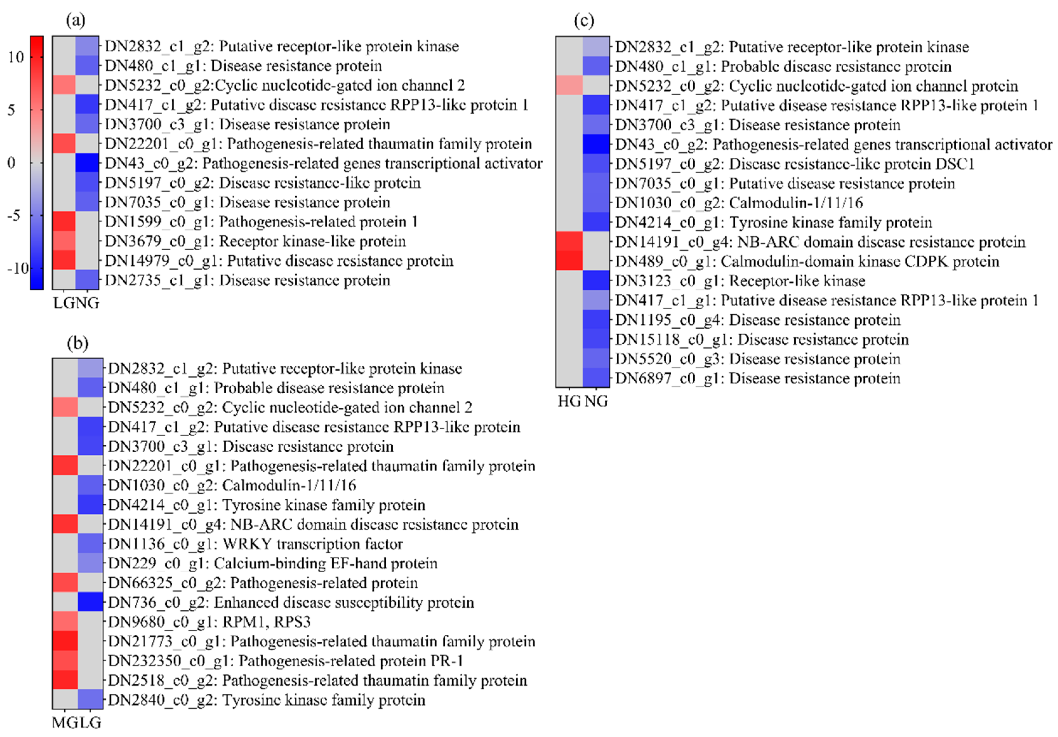 Plants 13 02738 g005