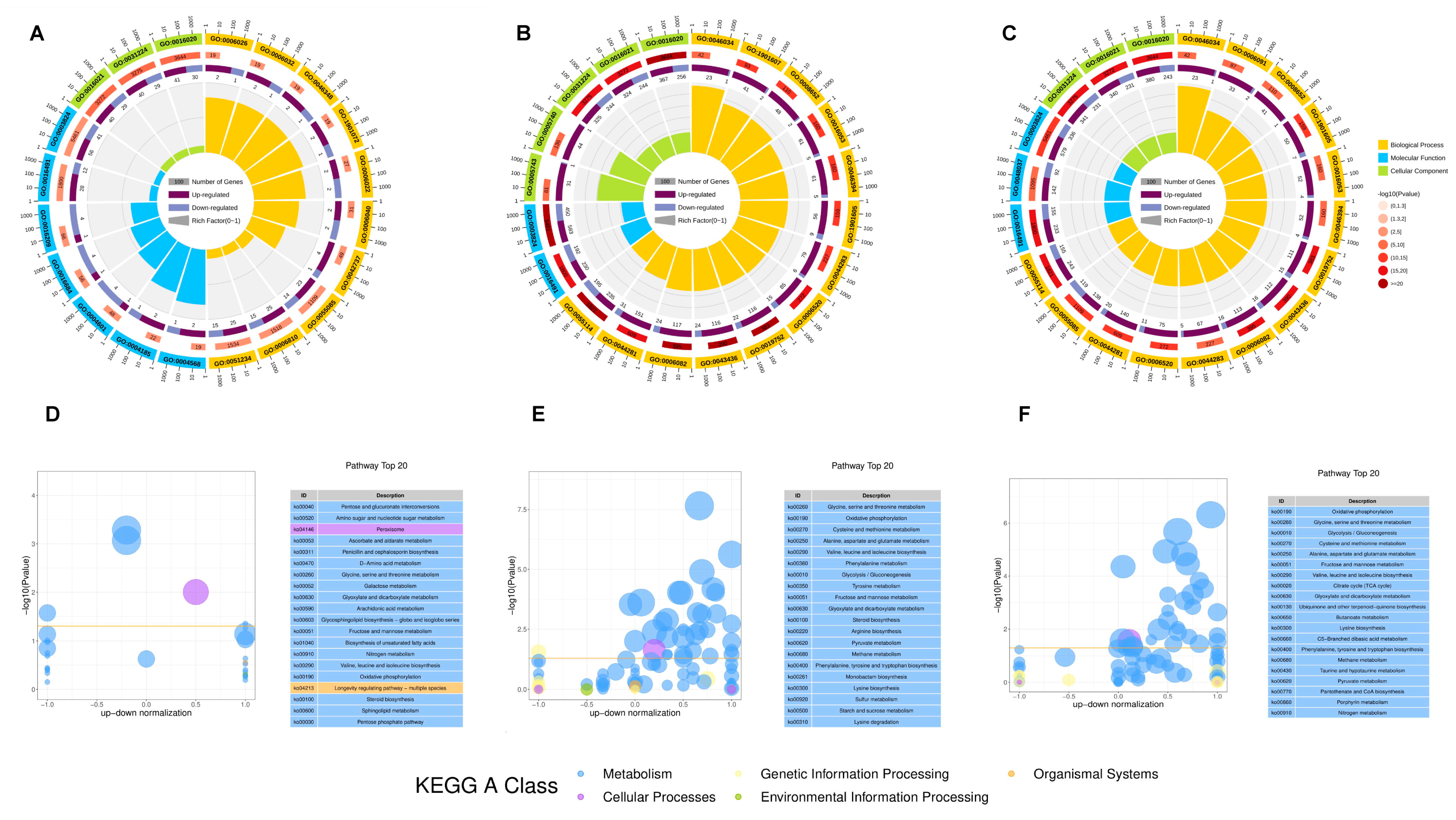 Plants 13 02743 g005