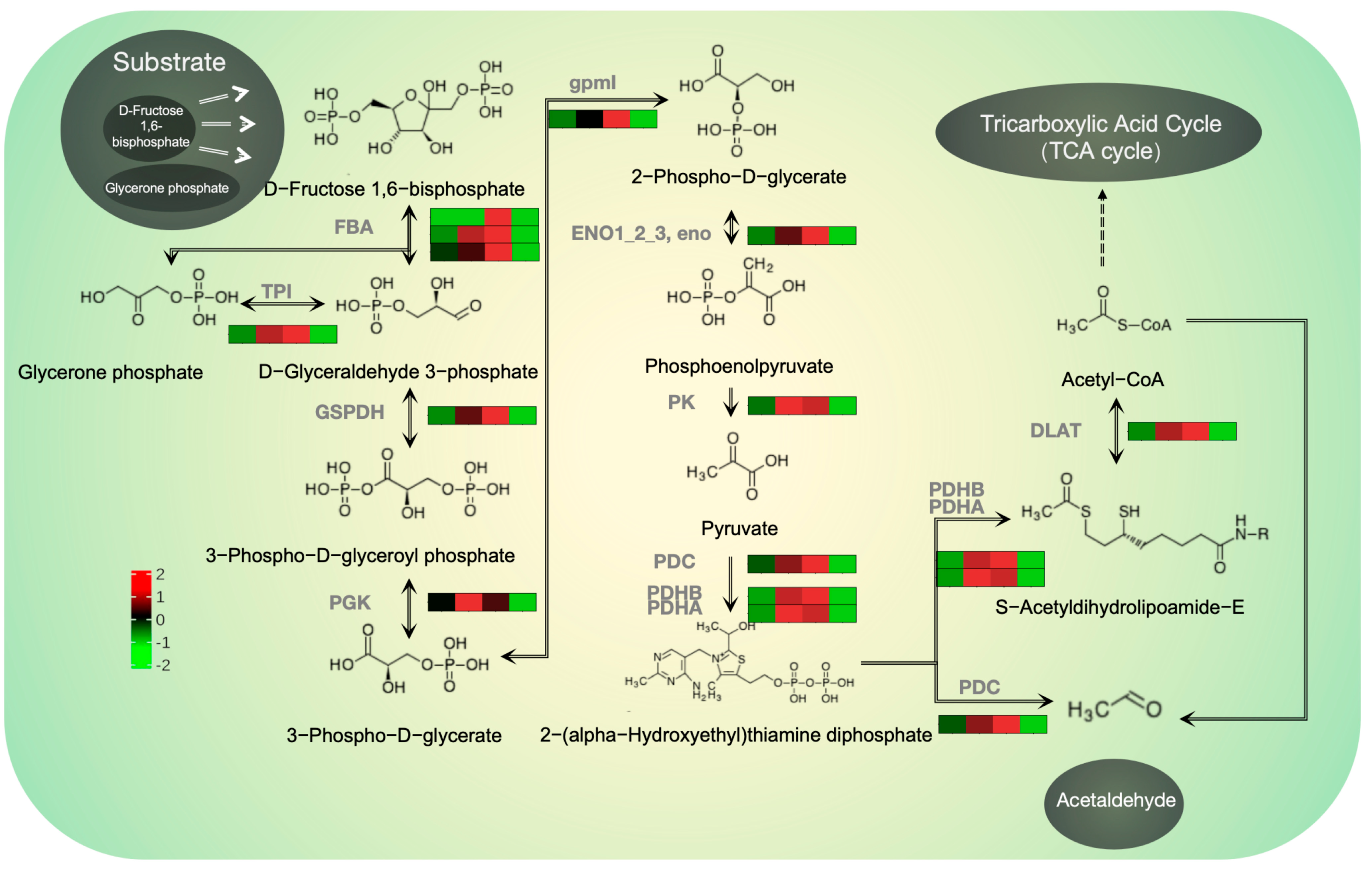 Plants 13 02743 g006