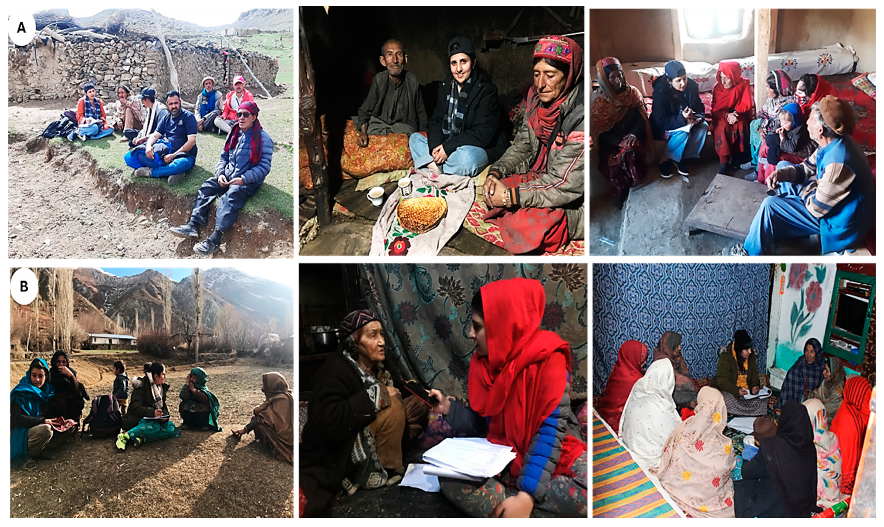 Plants 13 02747 g002 Plants 13 02747 g002