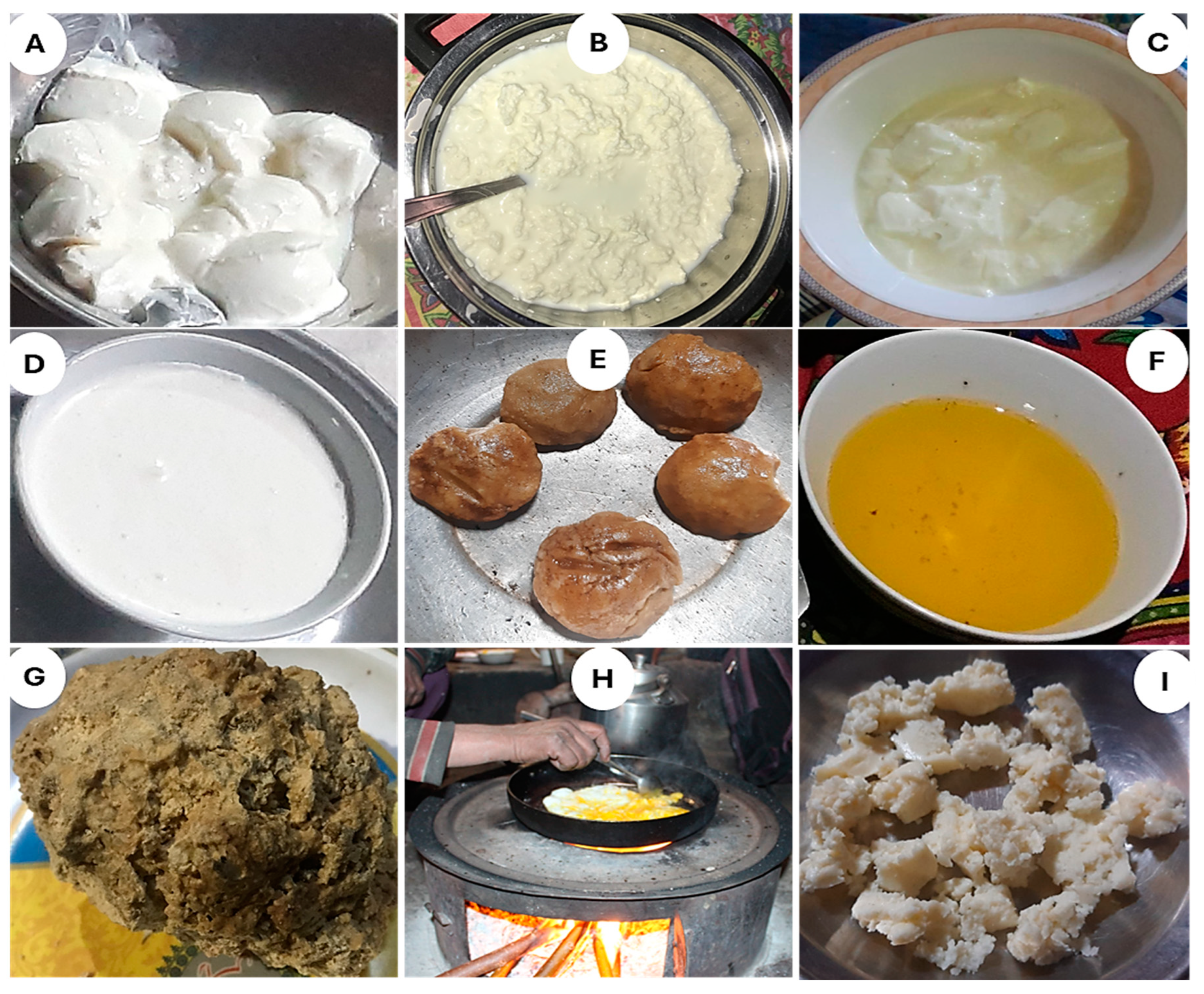 Plants 13 02747 g004 Plants 13 02747 g004