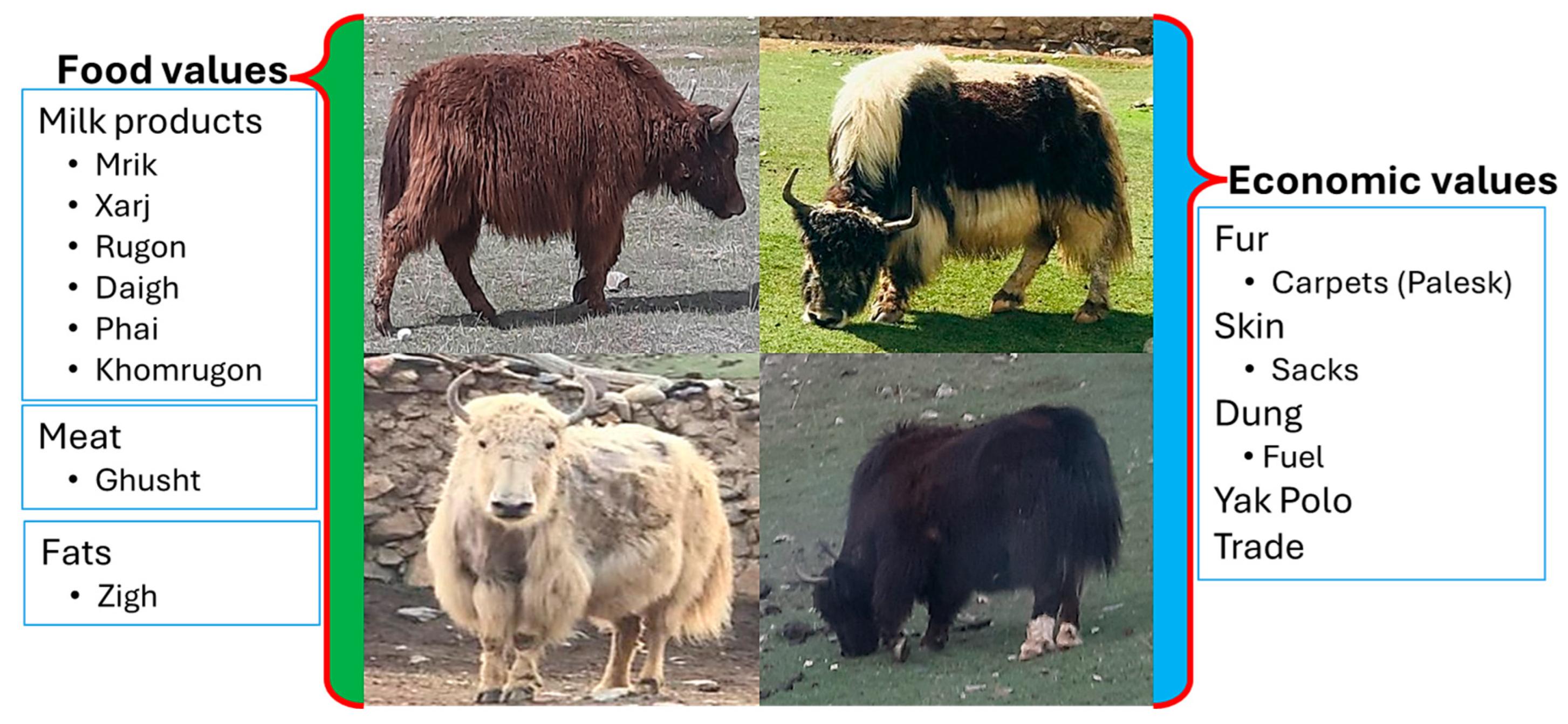 Plants 13 02747 g008 Plants 13 02747 g008