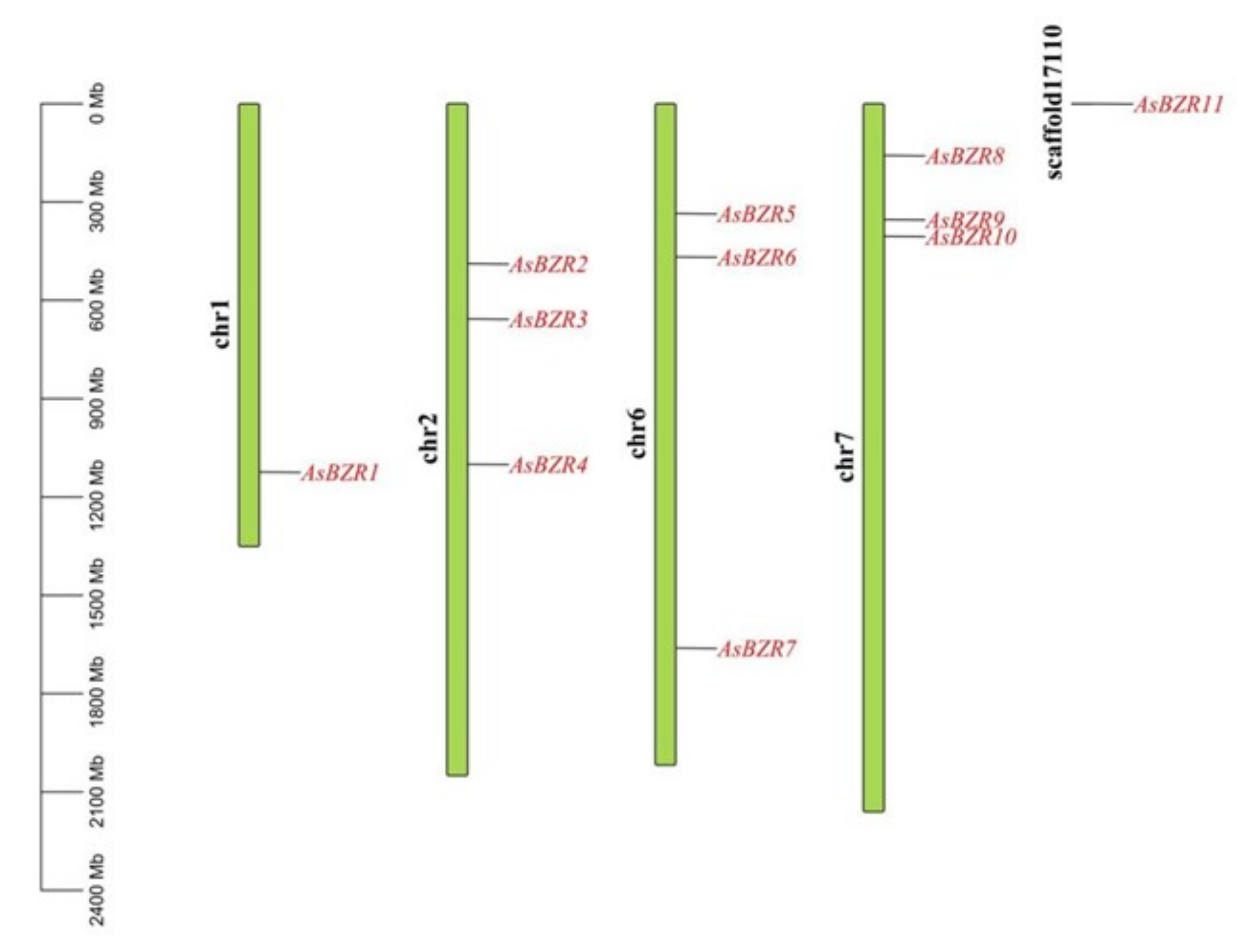 Plants 13 02749 g001