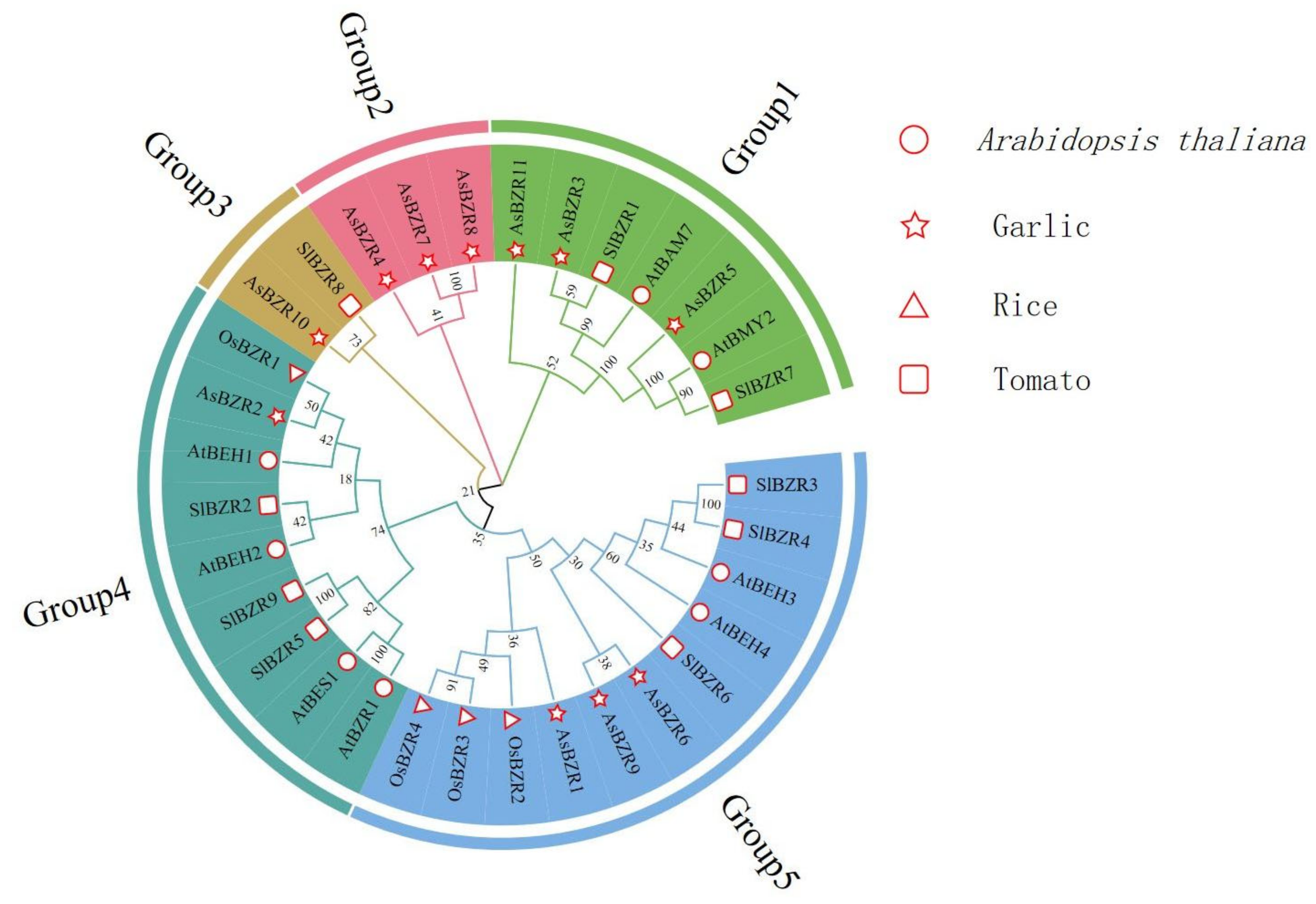 Plants 13 02749 g002