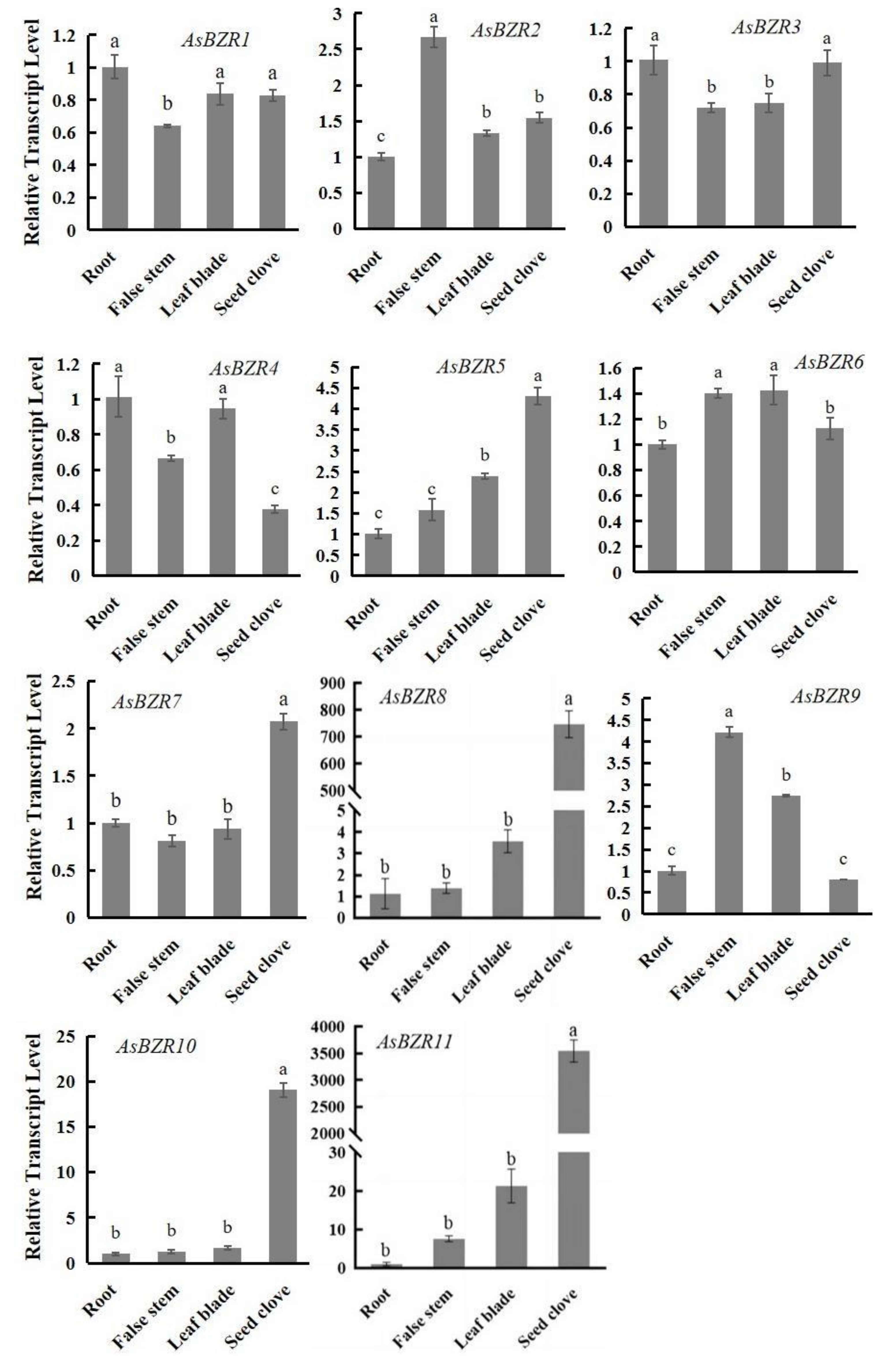 Plants 13 02749 g004