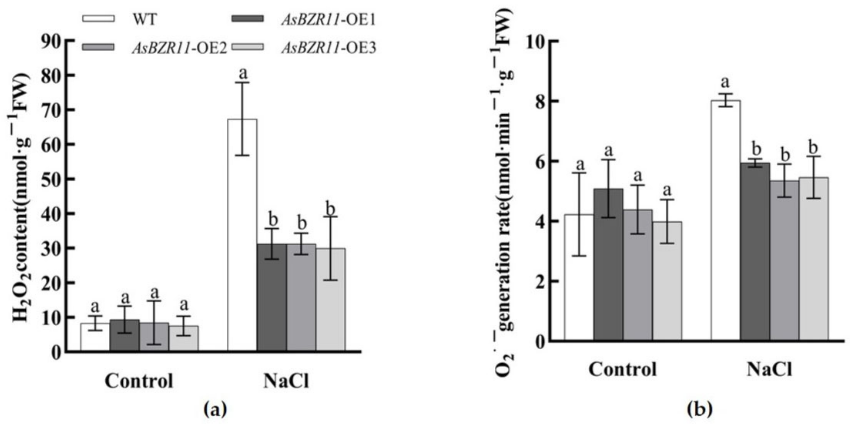 Plants 13 02749 g009