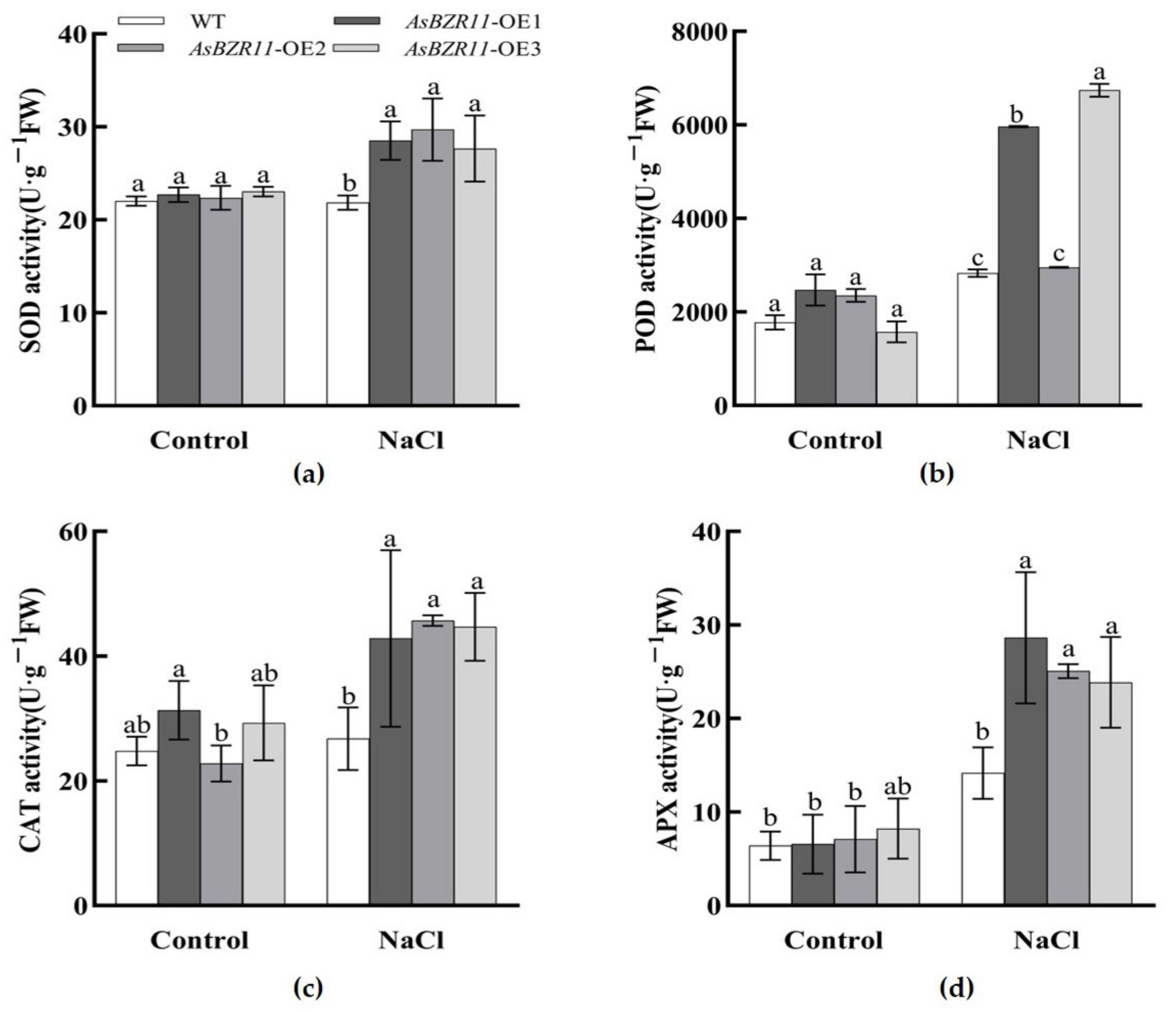 Plants 13 02749 g010