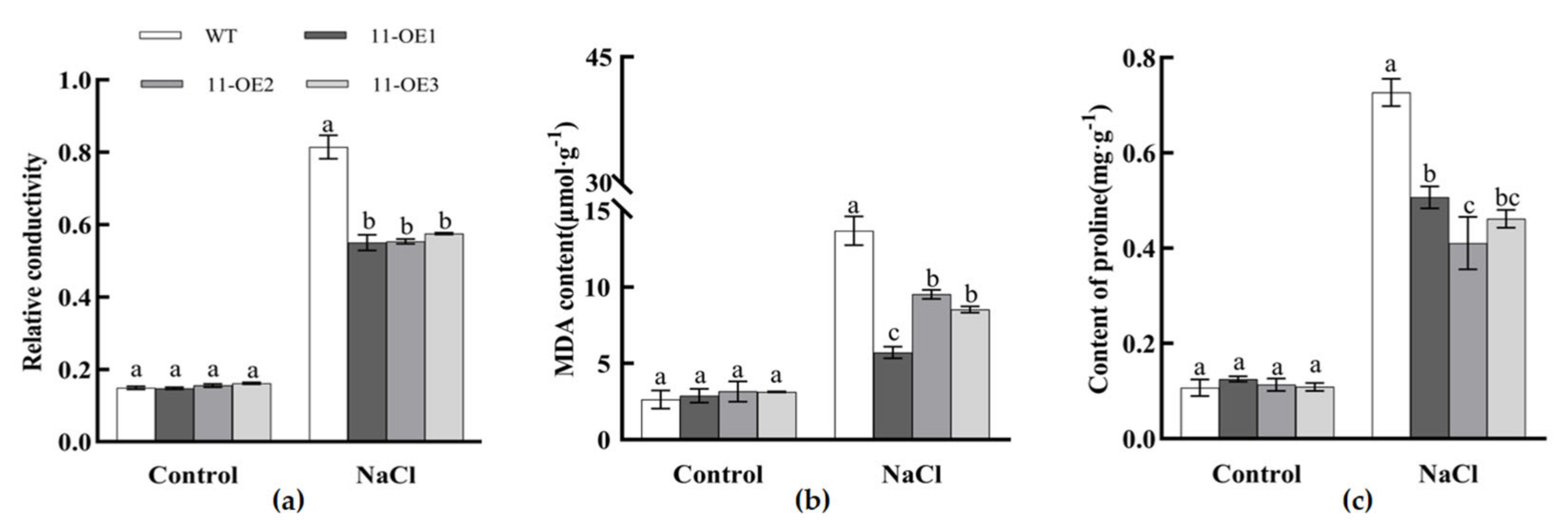 Plants 13 02749 g011