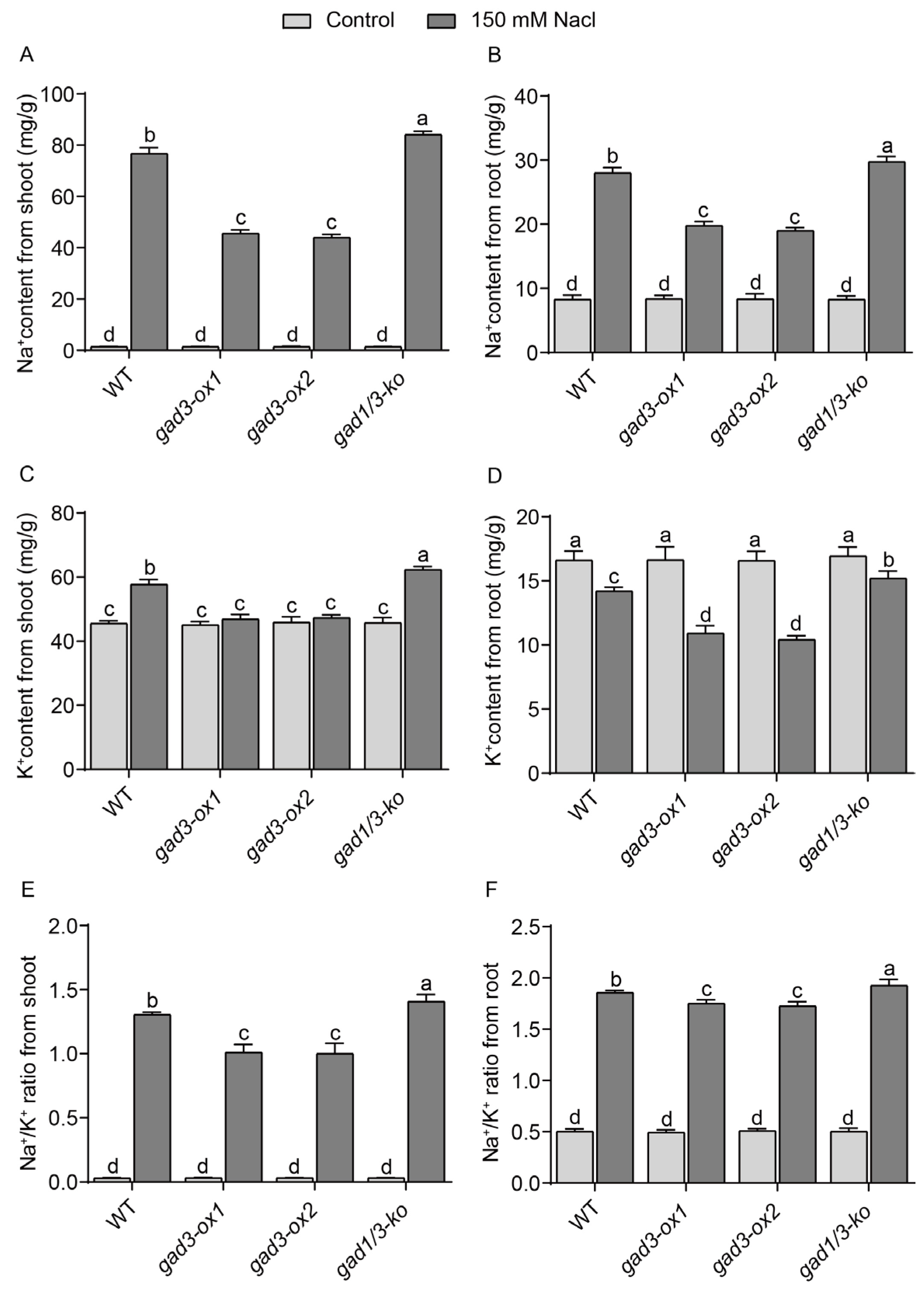 Plants 13 02750 g004