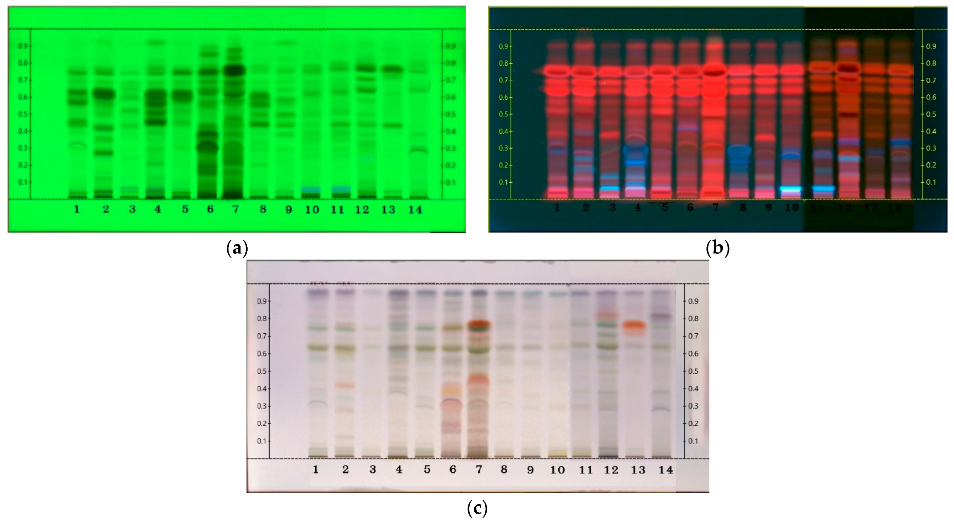 Plants 13 02751 g001