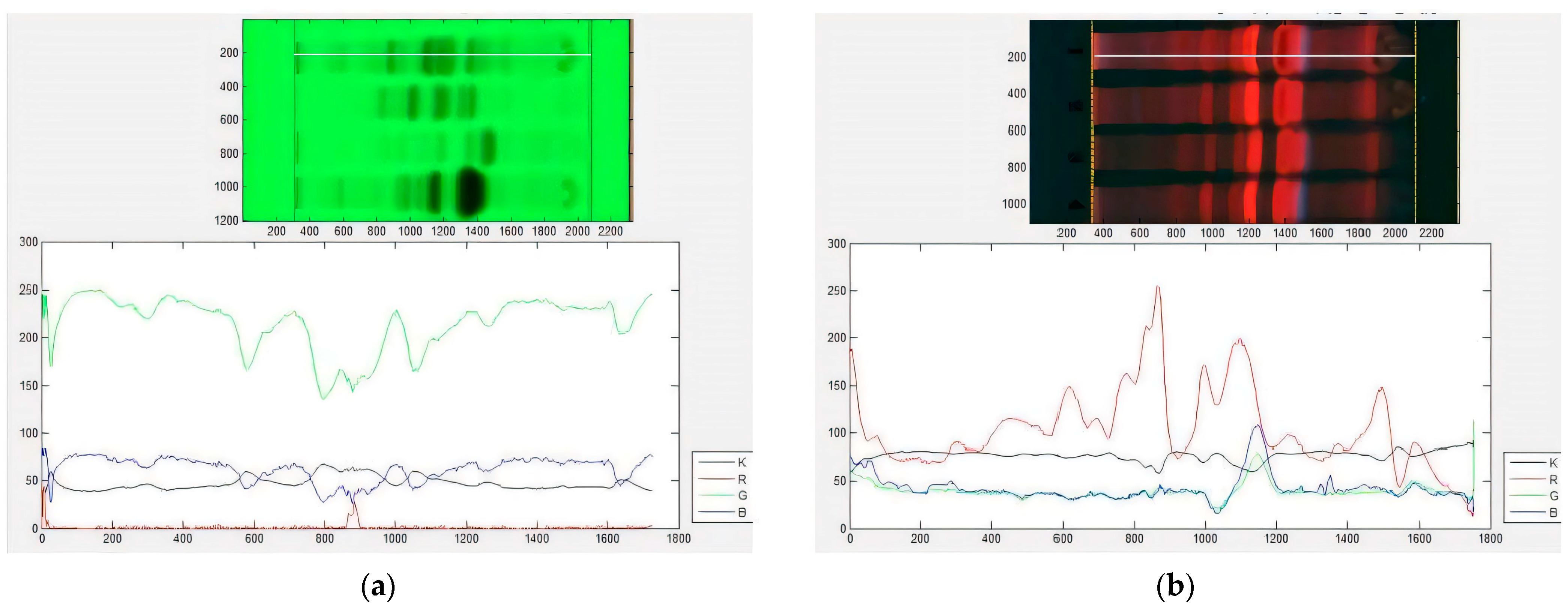 Plants 13 02751 g002