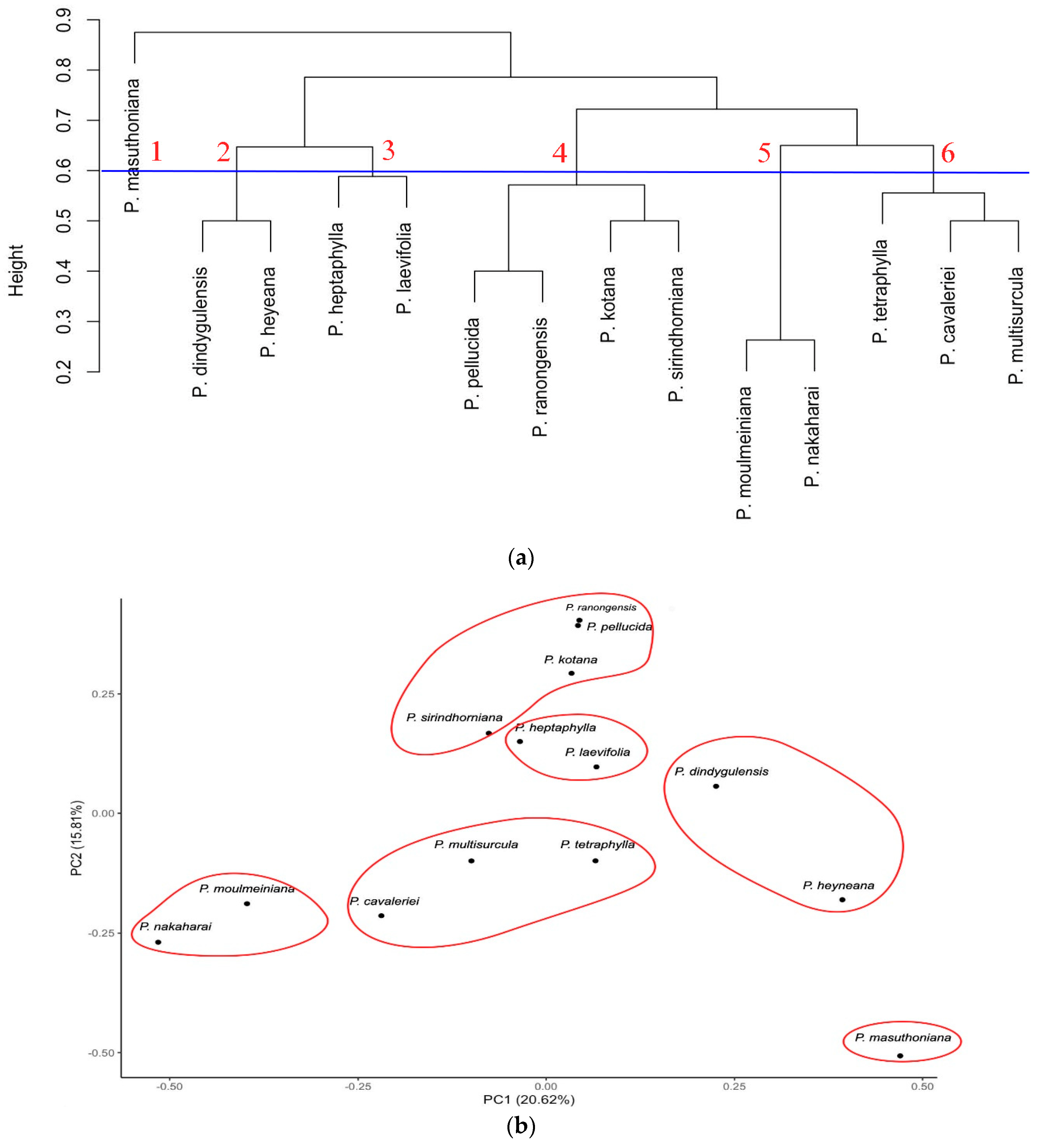 Plants 13 02751 g005