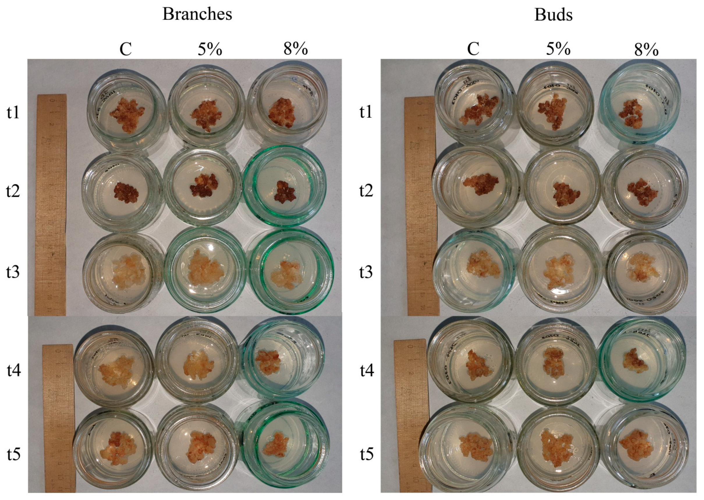 Plants 13 02752 g001 Plants 13 02752 g001