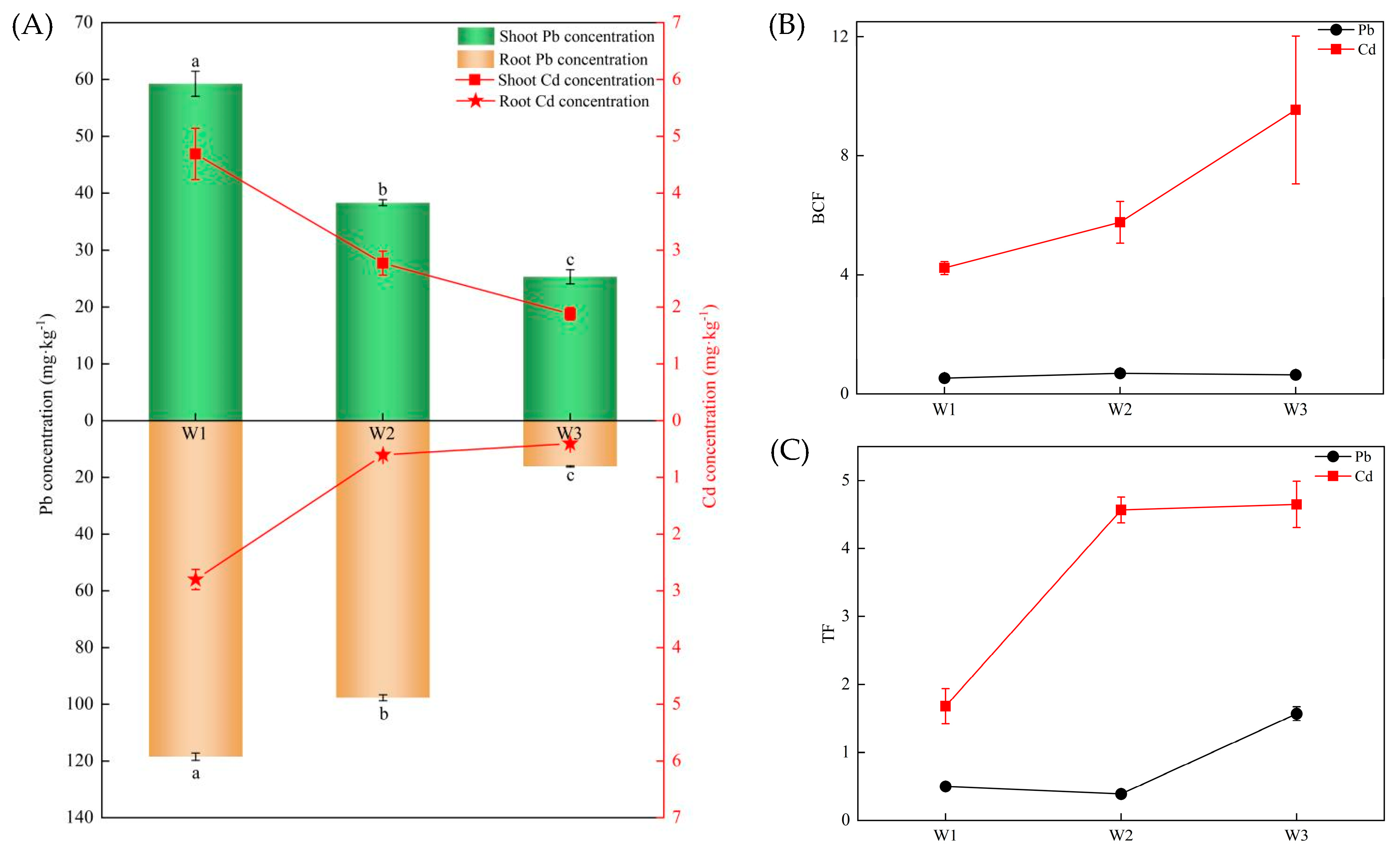 Plants 13 02755 g001
