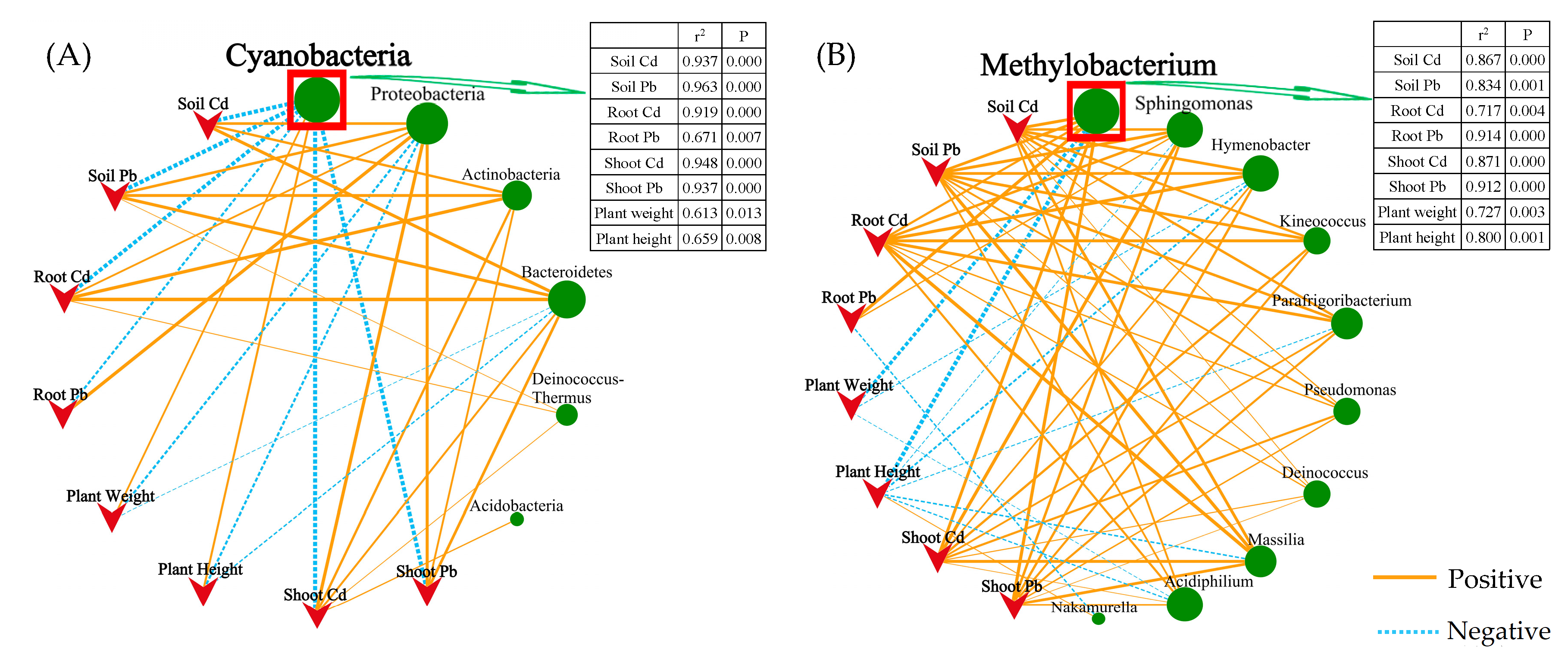 Plants 13 02755 g005