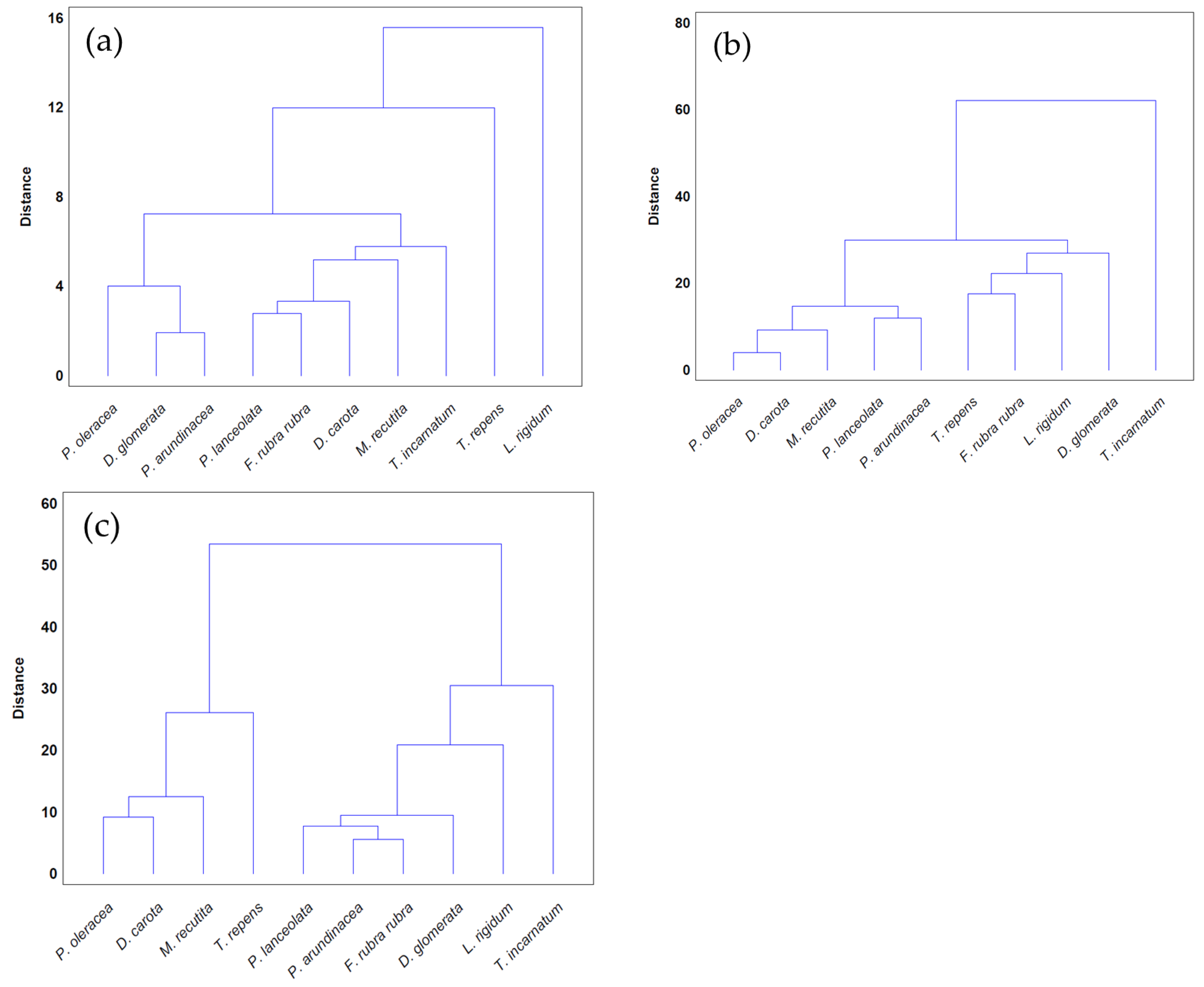 Plants 13 02758 g012