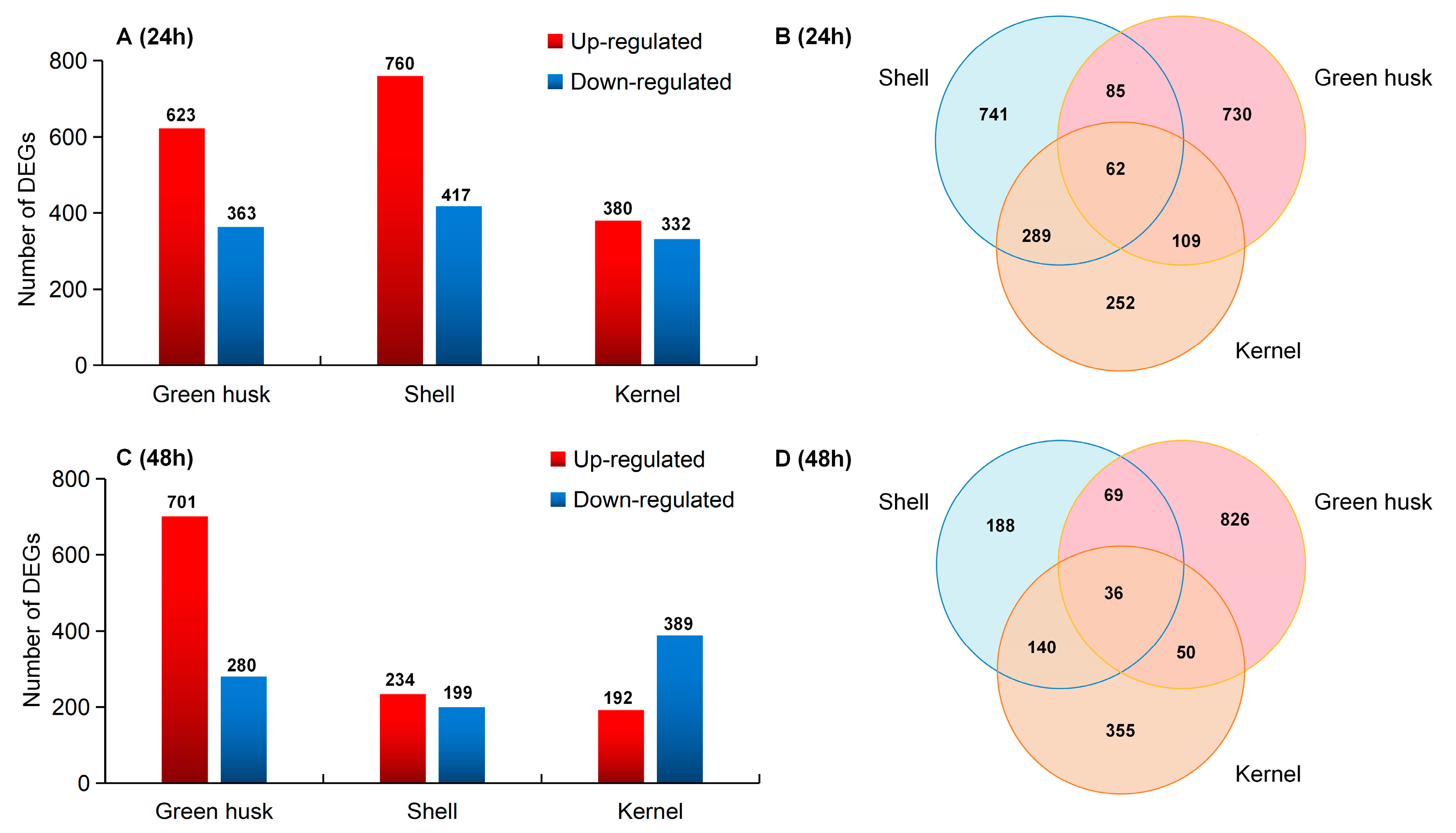 Plants 13 02761 g006