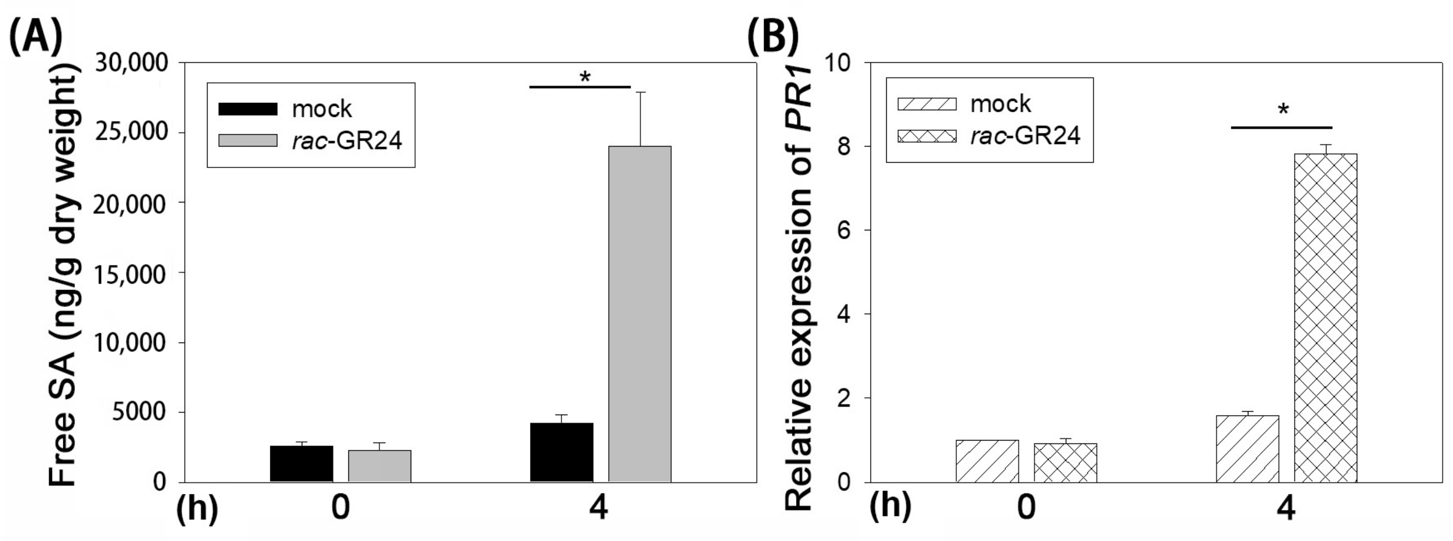 Plants 13 02766 g003 Plants 13 02766 g003