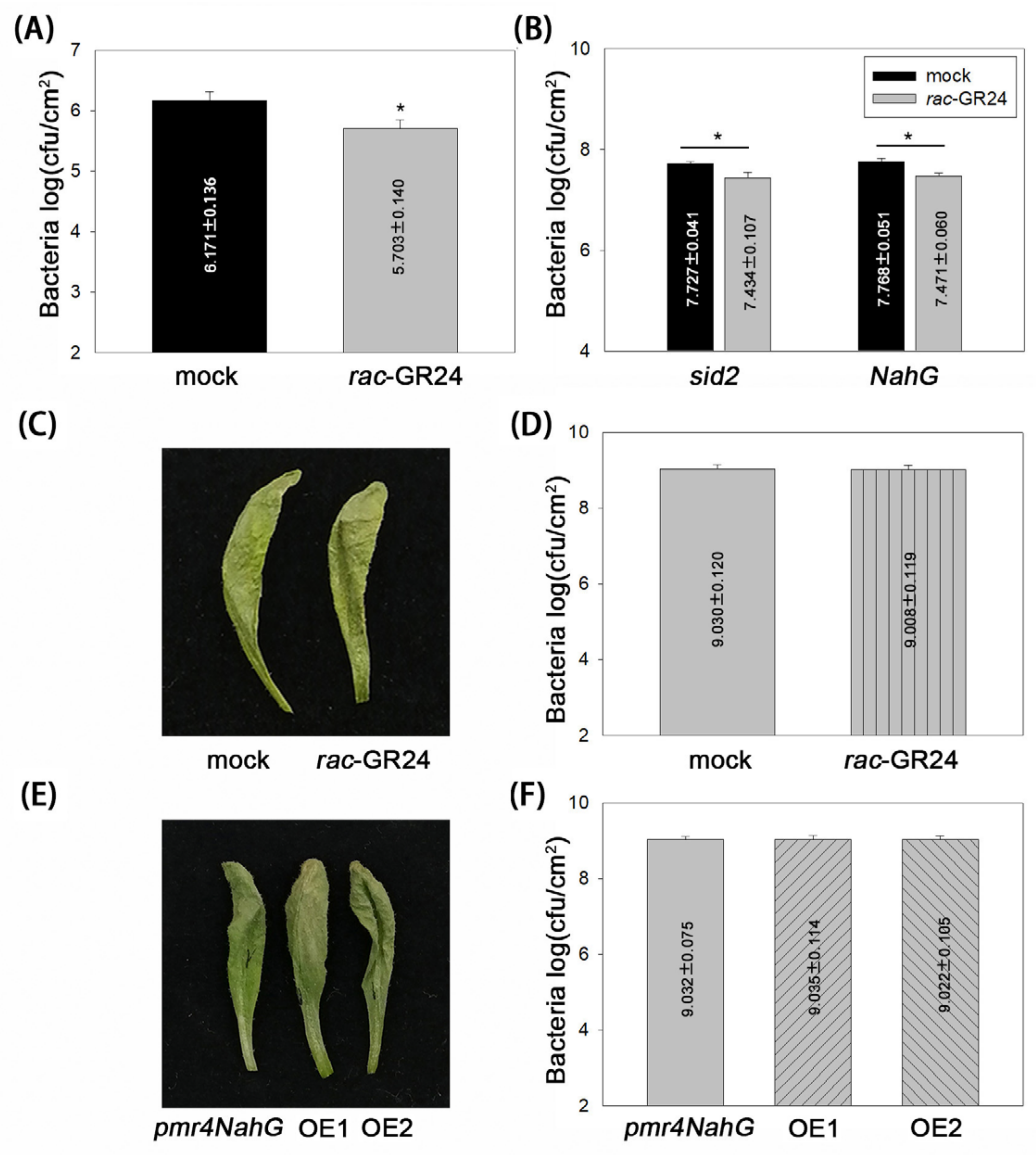 Plants 13 02766 g004 Plants 13 02766 g004
