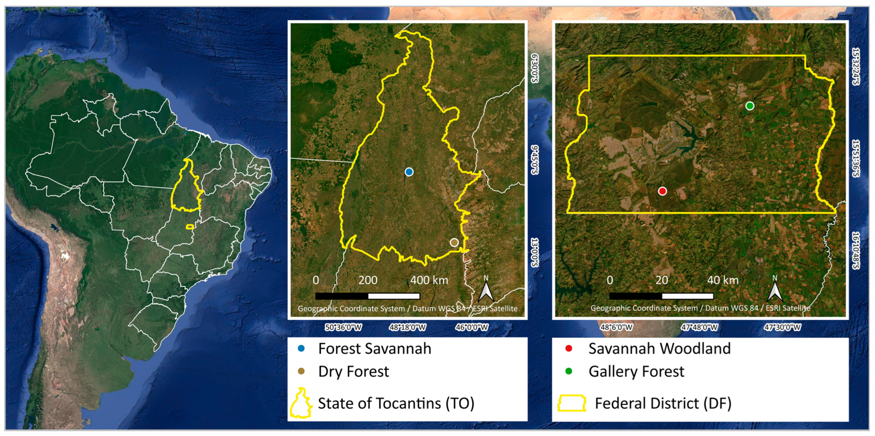 Plants 13 02769 g008 Plants 13 02769 g008